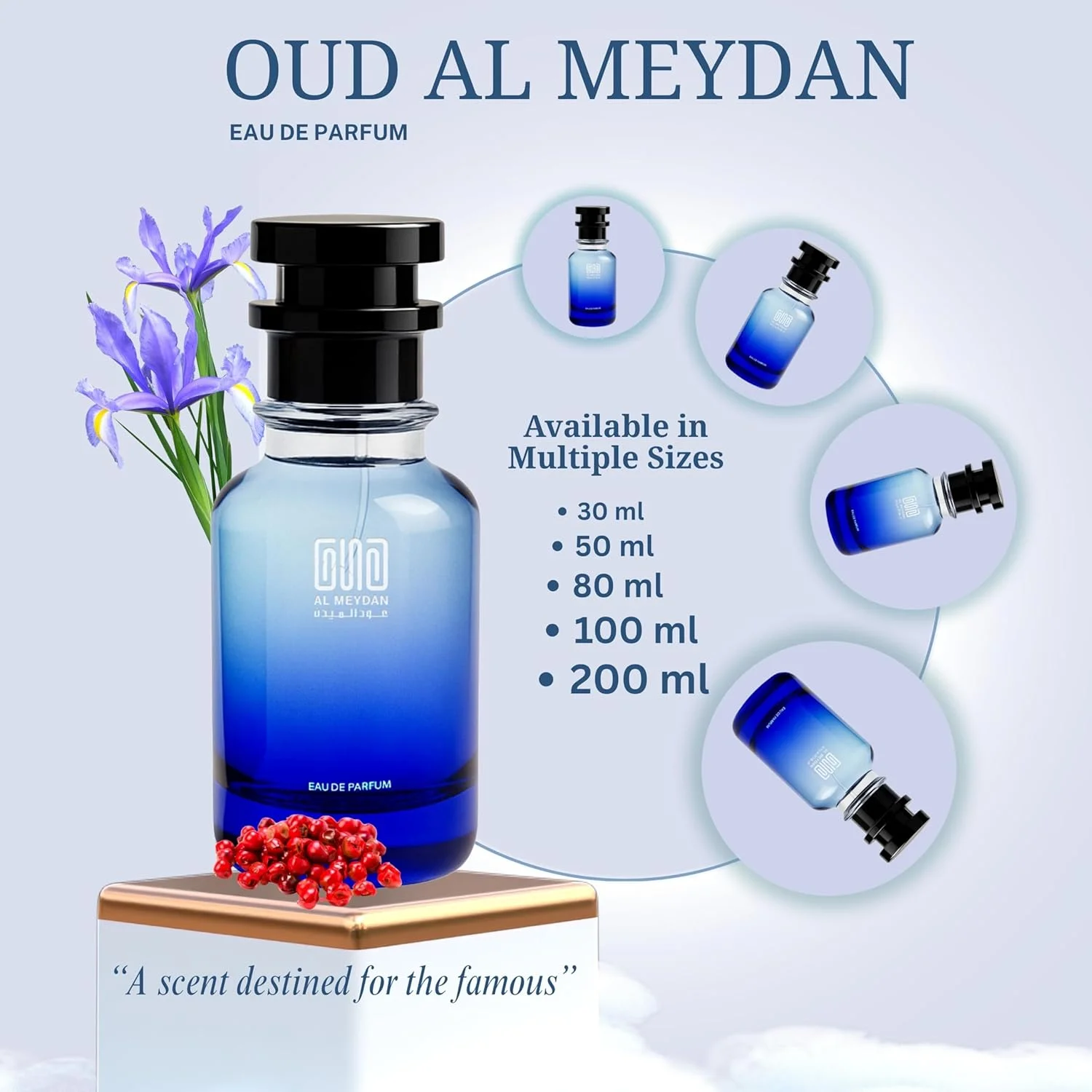 عطر روغنی عود المیدان زنانه - الهام گرفته از Fasshion Decrree Womann، رایحه ای گلی چوبی با فلفل صورتی، مگنولیا و نعناع هندی - بدون الکل - ماندگاری 8 ساعته برای ظرافت دلپذیر (30 میلی لیتر)