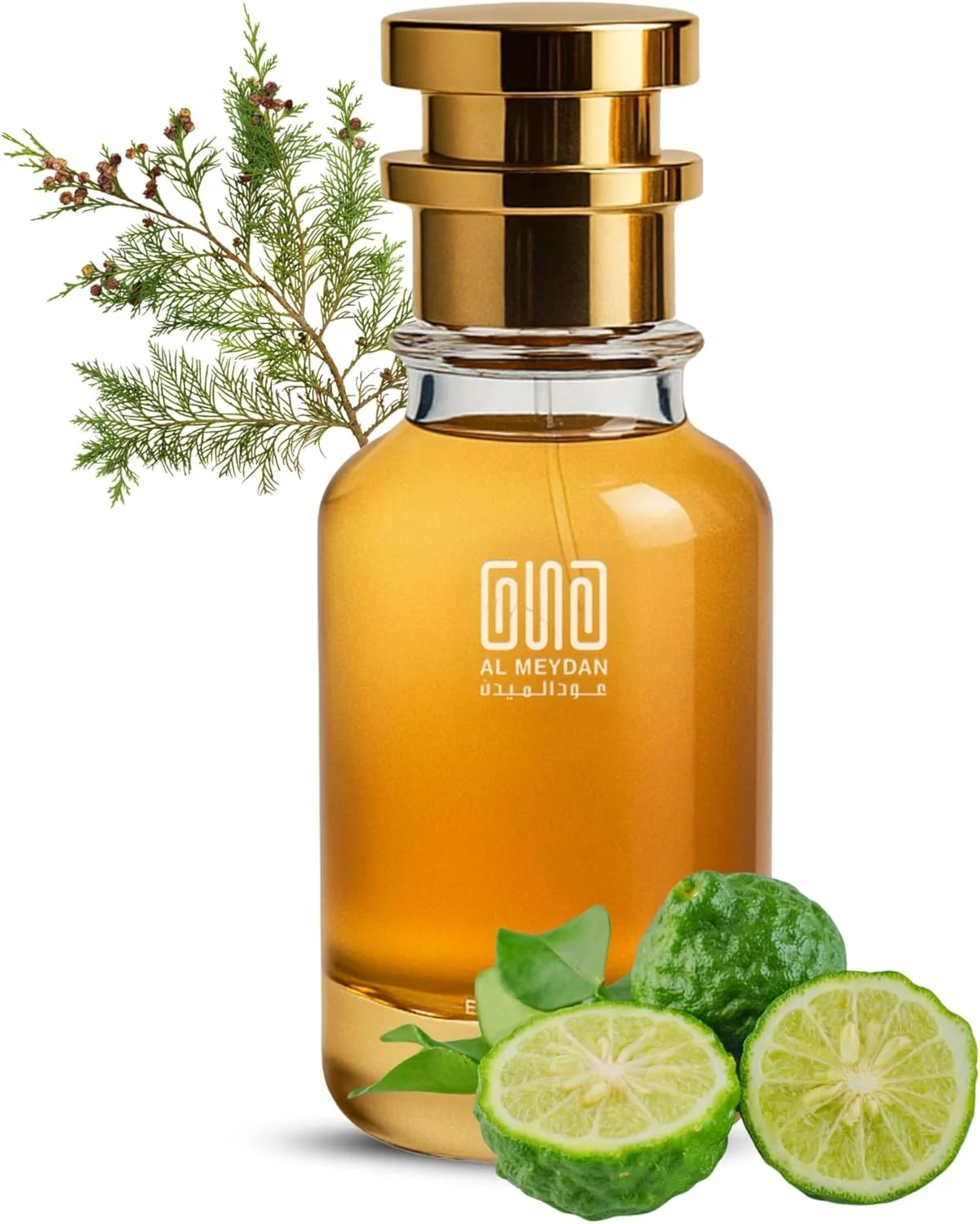 عطر روغنی عود المیدان مردانه و زنانه - الهام گرفته از عود و برگاموت، مرکباتی چوبی با رایحه های ترنج، سدر و عود - بدون الکل - ماندگاری 10 ساعته برای ظرافت روز و شب (200 میلی لیتر)