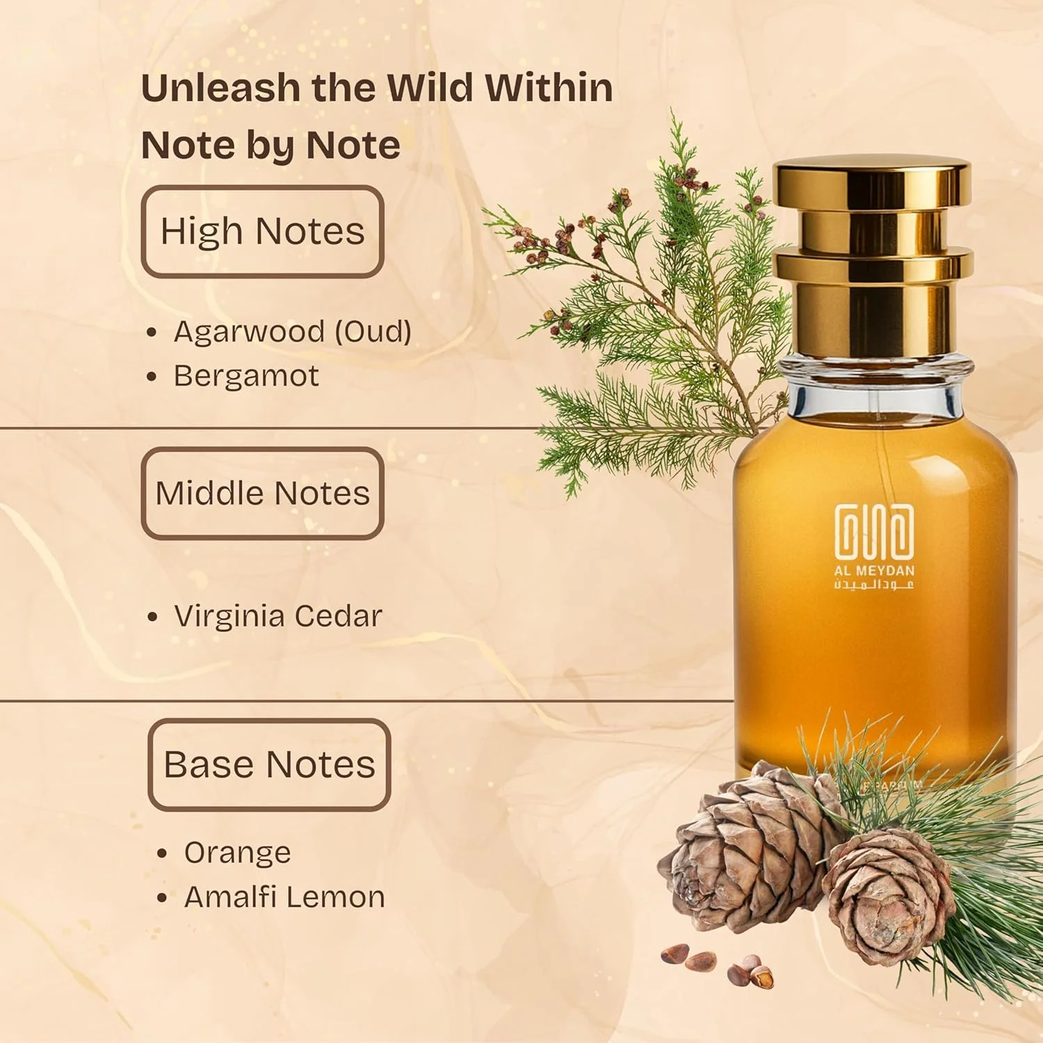 عطر روغنی عود المیدان مردانه و زنانه - الهام گرفته از عود و برگاموت، مرکباتی چوبی با رایحه های ترنج، سدر و عود - بدون الکل - ماندگاری 10 ساعته برای ظرافت روز و شب (200 میلی لیتر) عطر روغنی عود المیدان مردانه و زنانه - الهام گرفته از عود و برگاموت، مرکباتی چوبی با رایحه های ترنج، سدر و عود - بدون الکل - ماندگاری 10 ساعته برای ظرافت روز و شب (200 میلی لیتر)