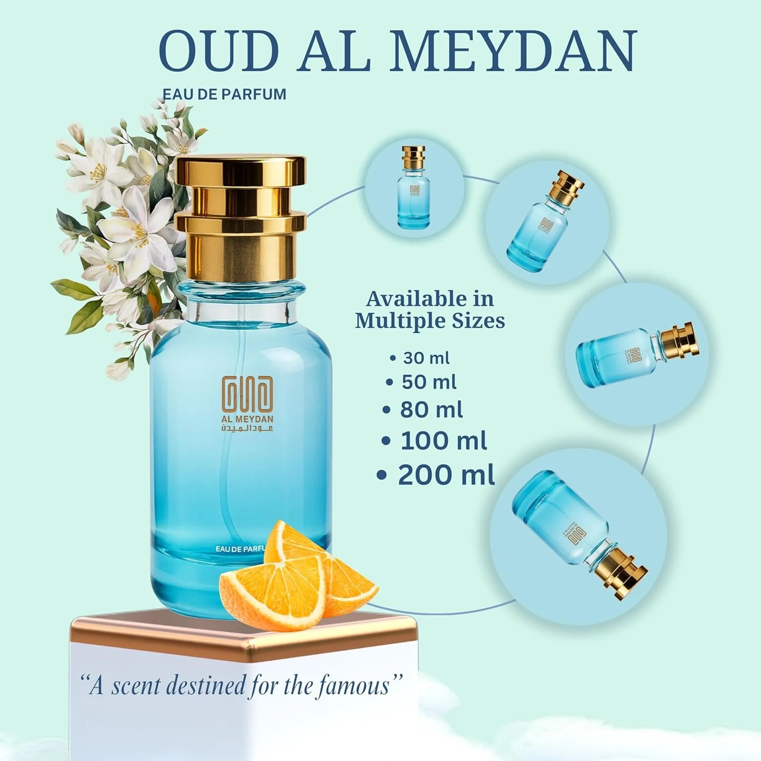 عطر روغنی عود المیدان زنانه - الهام گرفته از کوکو مادمازل اینتنس، کهربایی چوبی با رایحه های پرتقال، رز و وانیل - بدون الکل - ماندگاری 8-12 ساعته برای ظرافت شبانه (100 میلی لیتر)