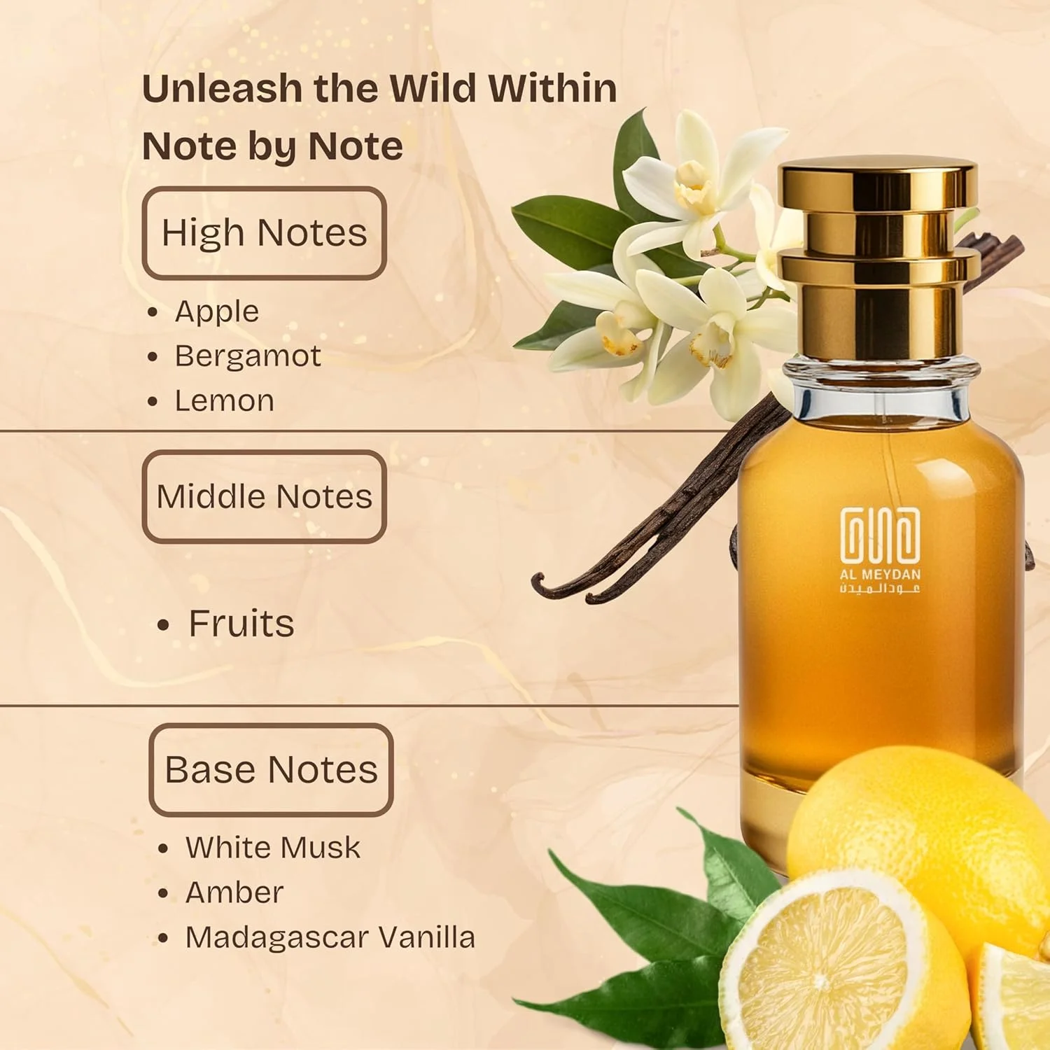 عطر روغنی عود المیدان مردانه و زنانه – الهام گرفته از سوسپیرو اِربا پورا، میوه ای شرقی با رایحه پرتقال، ترنج و وانیل – بدون الکل – ماندگاری 10-12 ساعته (50 میلی لیتر) عطر روغنی عود المیدان مردانه و زنانه – الهام گرفته از سوسپیرو اِربا پورا، میوه ای شرقی با رایحه پرتقال، ترنج و وانیل – بدون الکل – ماندگاری 10-12 ساعته (50 میلی لیتر)