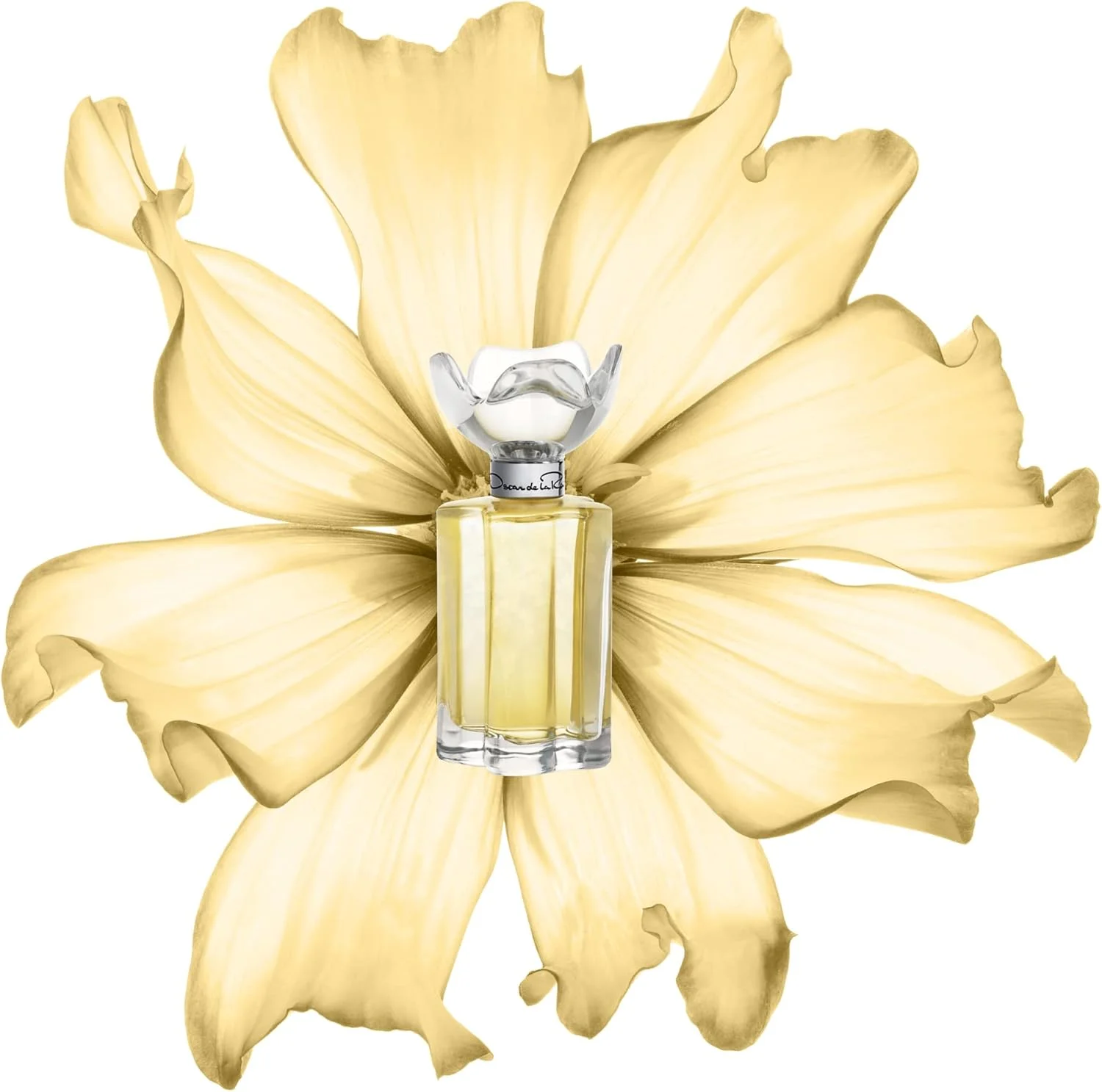 اسپری عطر ادو پرفیوم زنانه Oscar de la Renta Esprit D'Oscar، 3.4 اونس مایع اسپری عطر ادو پرفیوم زنانه Oscar de la Renta Esprit D'Oscar، 3.4 اونس مایع