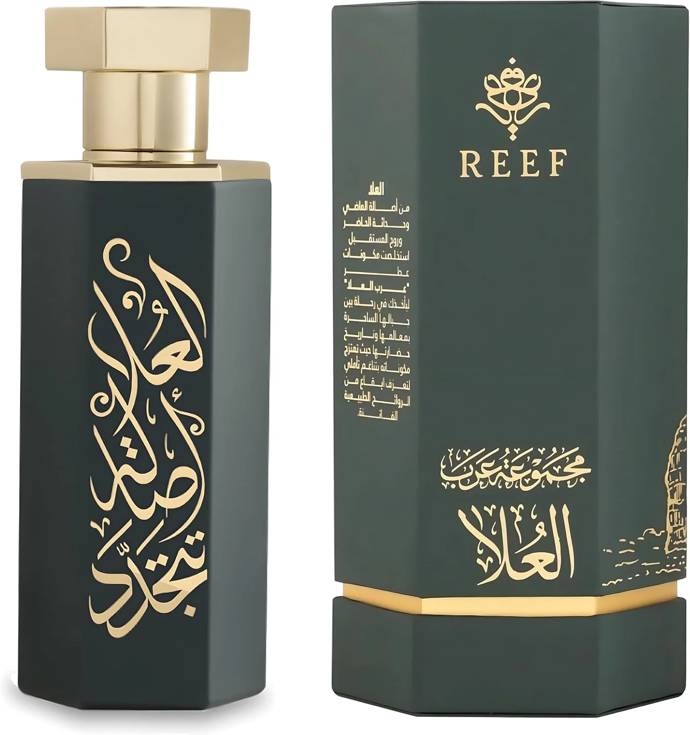 عطر اودورز ریف کالکشن عربی Alula 100 ML | عطر مردانه و عطر زنانه | عطر ریف ماندگار унисекс - ادو پرفیوم