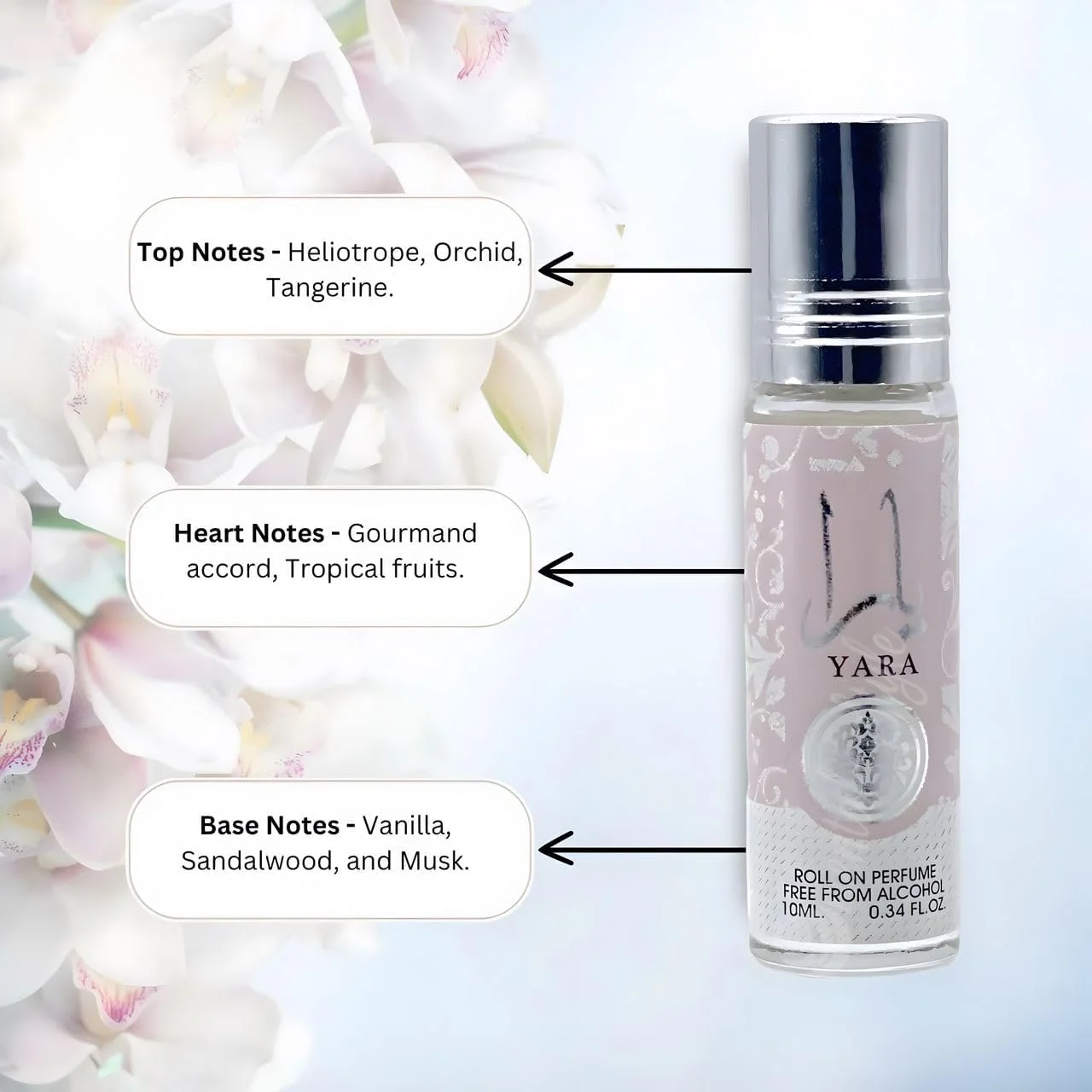 عطر روغنی رولی زنانه ODORZ Yara، بدون الکل، ماندگاری طولانی، 10 میلی لیتر - عطر زنانه، ایده آل برای مسافرت و هدیه، عطر برای زنان (بسته 1 عددی) عطر روغنی رولی زنانه ODORZ Yara، بدون الکل، ماندگاری طولانی، 10 میلی لیتر - عطر زنانه، ایده آل برای مسافرت و هدیه، عطر برای زنان (بسته 1 عددی)