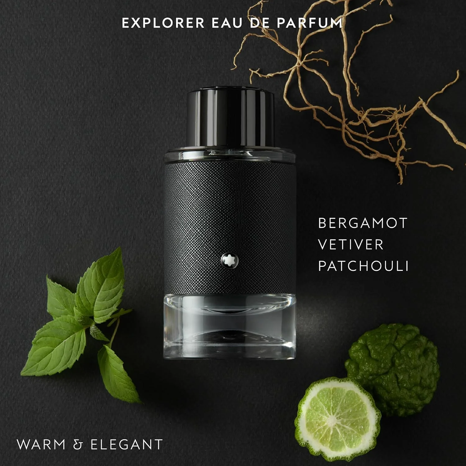 ادکلن مردانه مونت بلان اکسپلورر Montblanc Explorer - ادو پرفیوم 100 میلی لیتر ادکلن مردانه مونت بلان اکسپلورر Montblanc Explorer - ادو پرفیوم 100 میلی لیتر