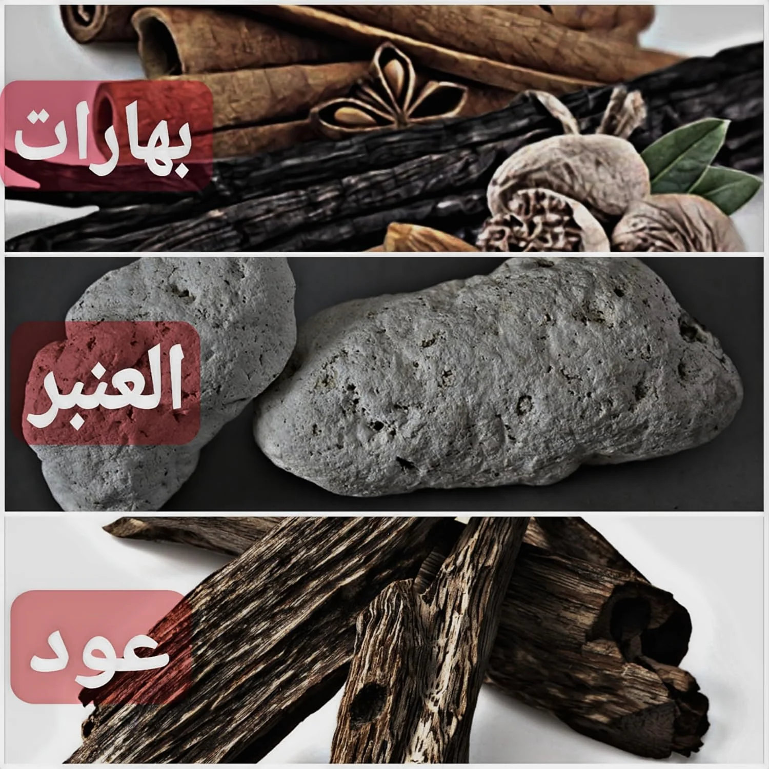 عطر حروف العود محمد المعمری | ادو پرفیوم عود عربی ماندگار برای مردان و زنان | عطر لوکس با عود هندی، مشک، چوب صندل و رایحه های گل | عطر 120 میلی لیتری унисекс عطر حروف العود محمد المعمری | ادو پرفیوم عود عربی ماندگار برای مردان و زنان | عطر لوکس با عود هندی، مشک، چوب صندل و رایحه های گل | عطر 120 میلی لیتری унисекс