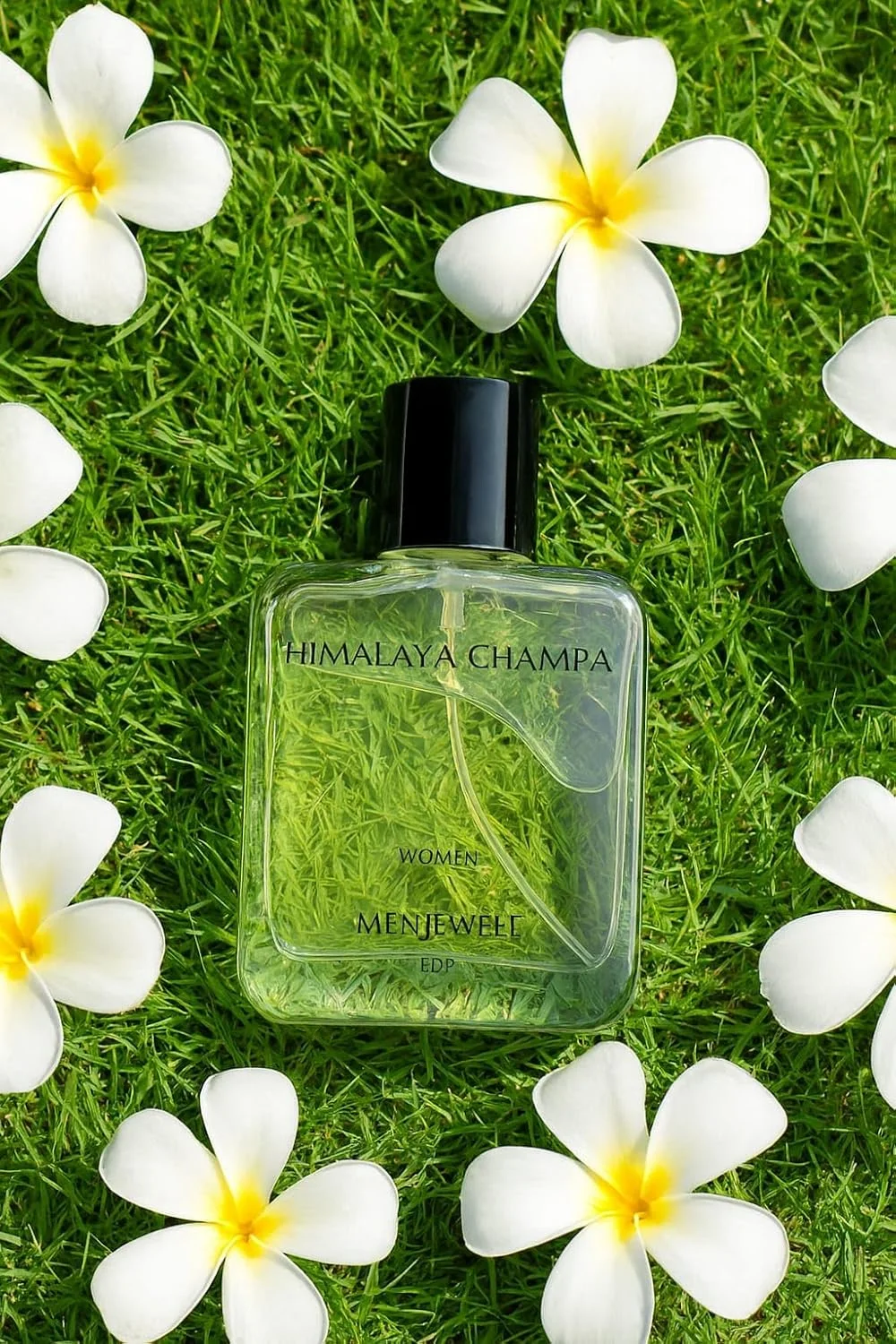 عطر زنانه منجول Himalayan Champa با ماندگاری طولانی عطر زنانه منجول Himalayan Champa با ماندگاری طولانی