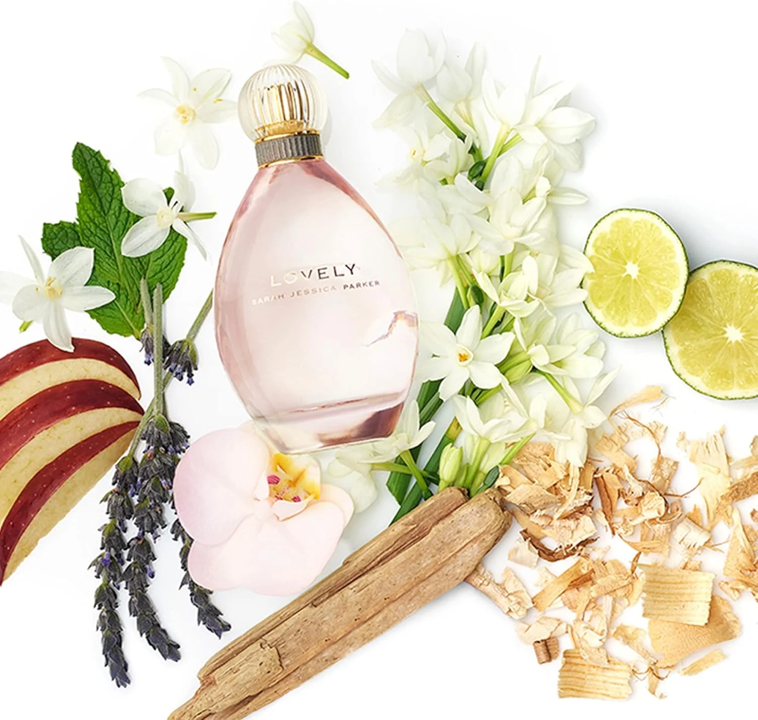 ست هدیه لاولی بای اس جی پی زنانه - رایحه ای کلاسیک، جذاب و فوق العاده - عطر کهربای سفید ابریشمی با نت های پودری و صمیمی - شامل اسپری عطر و لوسیون بدن - 2 تکه ست هدیه لاولی بای اس جی پی زنانه - رایحه ای کلاسیک، جذاب و فوق العاده - عطر کهربای سفید ابریشمی با نت های پودری و صمیمی - شامل اسپری عطر و لوسیون بدن - 2 تکه