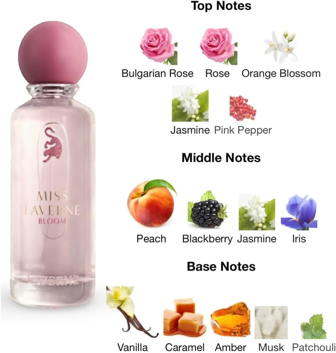 عطر زنانه میس لاورن بلوم، رایحه گلی میوه ای با نت های رز و وانیل، 100 میلی لیتر مس لافيرن بلوم عطر زنانه میس لاورن بلوم، رایحه گلی میوه ای با نت های رز و وانیل، 100 میلی لیتر مس لافيرن بلوم