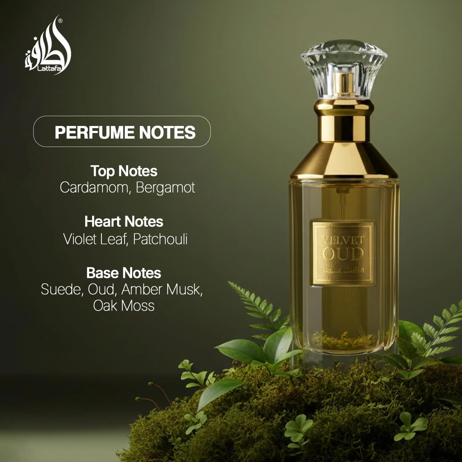 عطر لطافه ولوت عود ماندگار برای مردان و زنان ادو پرفیوم 100 میلی لیتر عطر لطافه ولوت عود ماندگار برای مردان و زنان ادو پرفیوم 100 میلی لیتر