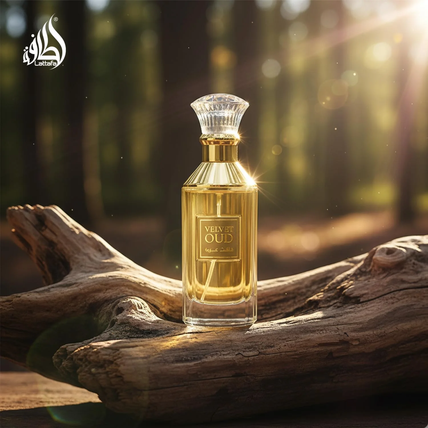 عطر لطافه ولوت عود ماندگار برای مردان و زنان ادو پرفیوم 100 میلی لیتر عطر لطافه ولوت عود ماندگار برای مردان و زنان ادو پرفیوم 100 میلی لیتر