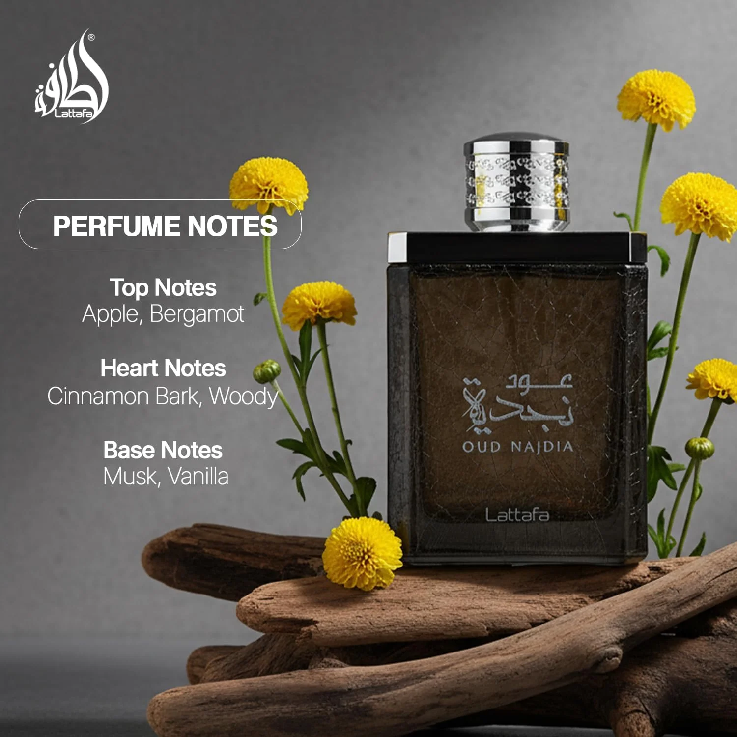 عطر ادکلن унисекс لطافه عود نجدیه - 100 میلی لیتر عطر ادکلن унисекс لطافه عود نجدیه - 100 میلی لیتر