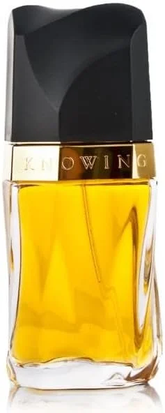 ادو پرفیوم زنانه Knowing by Estee Lauder حجم 75 میلی لیتر