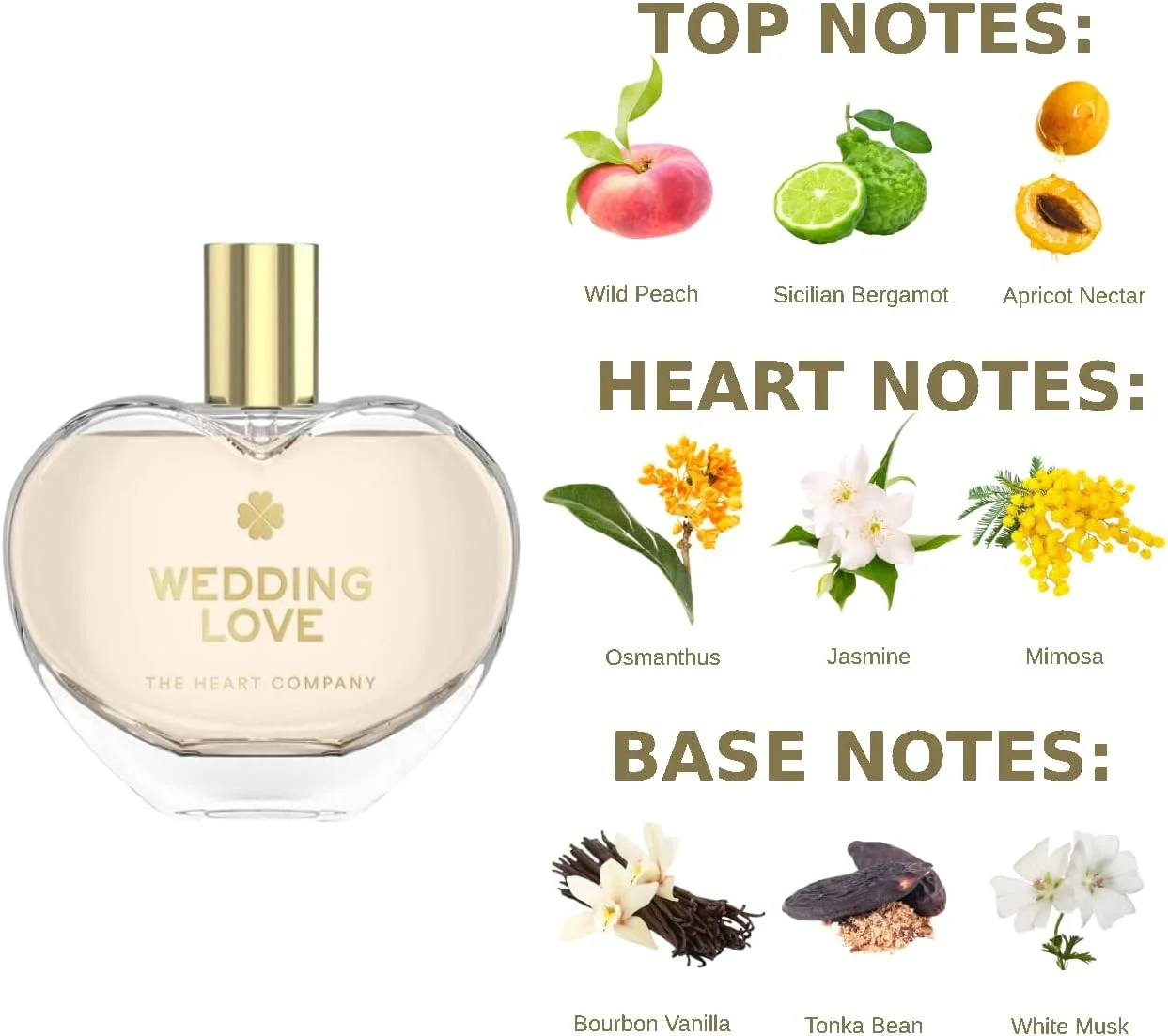 عطر زنانه WEDDING LOVE از THE HEART COMPANY | رایحه میوه ای و شیرین زنانه | هدیه جشن عروسی | هدیه عروسی برای عروس | وگان و بدون تست حیوانی EDP 75ml - 2.5 fl oz. عطر زنانه WEDDING LOVE از THE HEART COMPANY | رایحه میوه ای و شیرین زنانه | هدیه جشن عروسی | هدیه عروسی برای عروس | وگان و بدون تست حیوانی EDP 75ml - 2.5 fl oz.