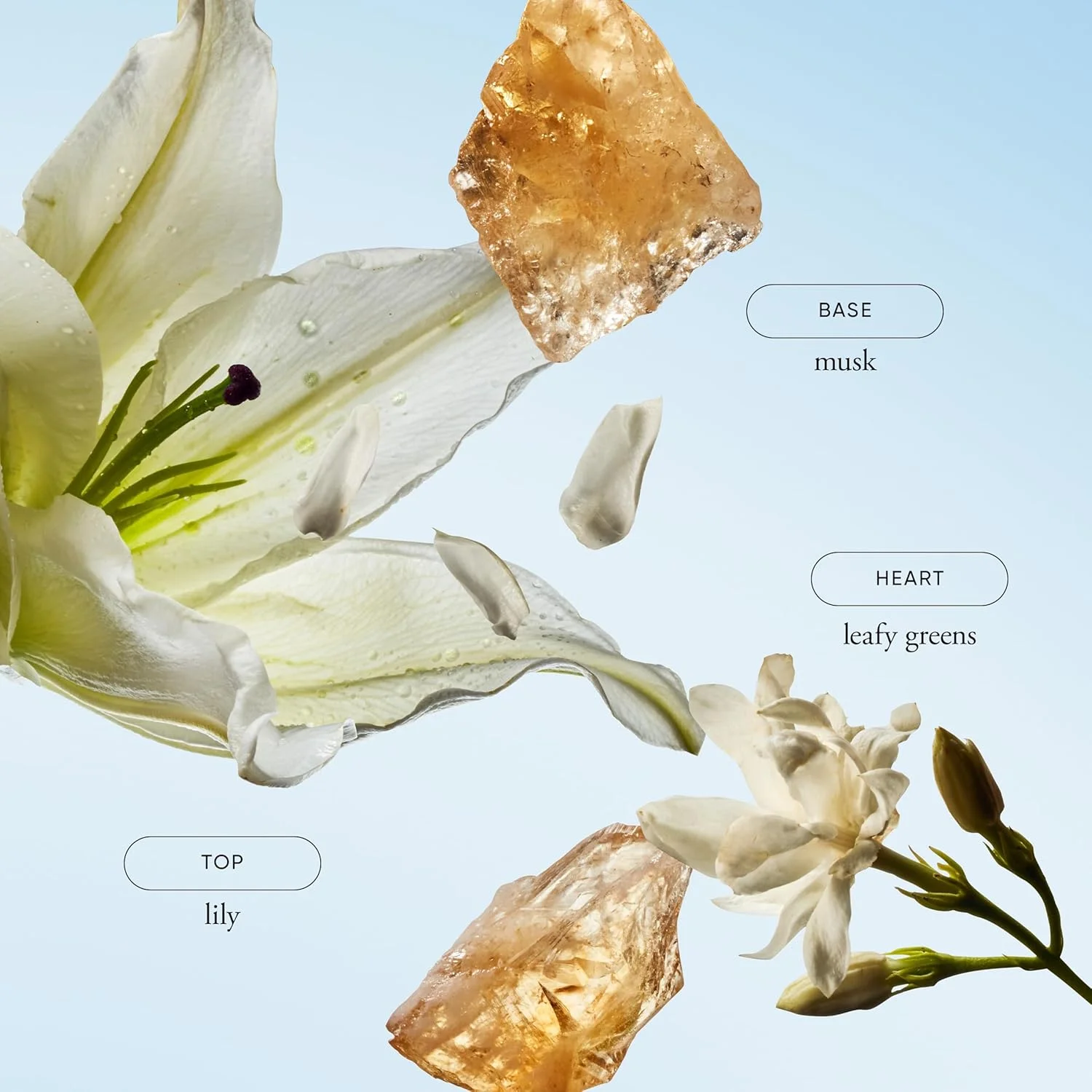 ادکلن زنانه Pure Grace by Philosophy Eau De Parfum Spray 2 oz ادکلن زنانه Pure Grace by Philosophy Eau De Parfum Spray 2 oz