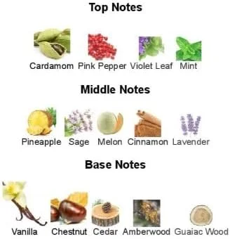 ادو پرفیوم زنانه مدل Floral حجم 100 میلی لیتر از مگا کالکشن