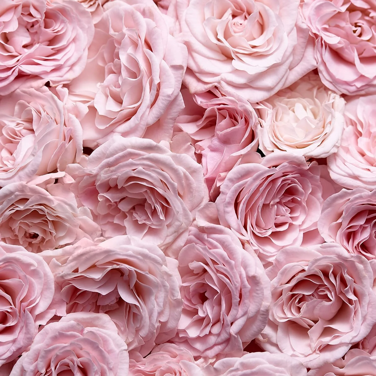 ادکلن زنانه اسکادا اسپشیالی ادو پرفیوم 50 میلی لیتر