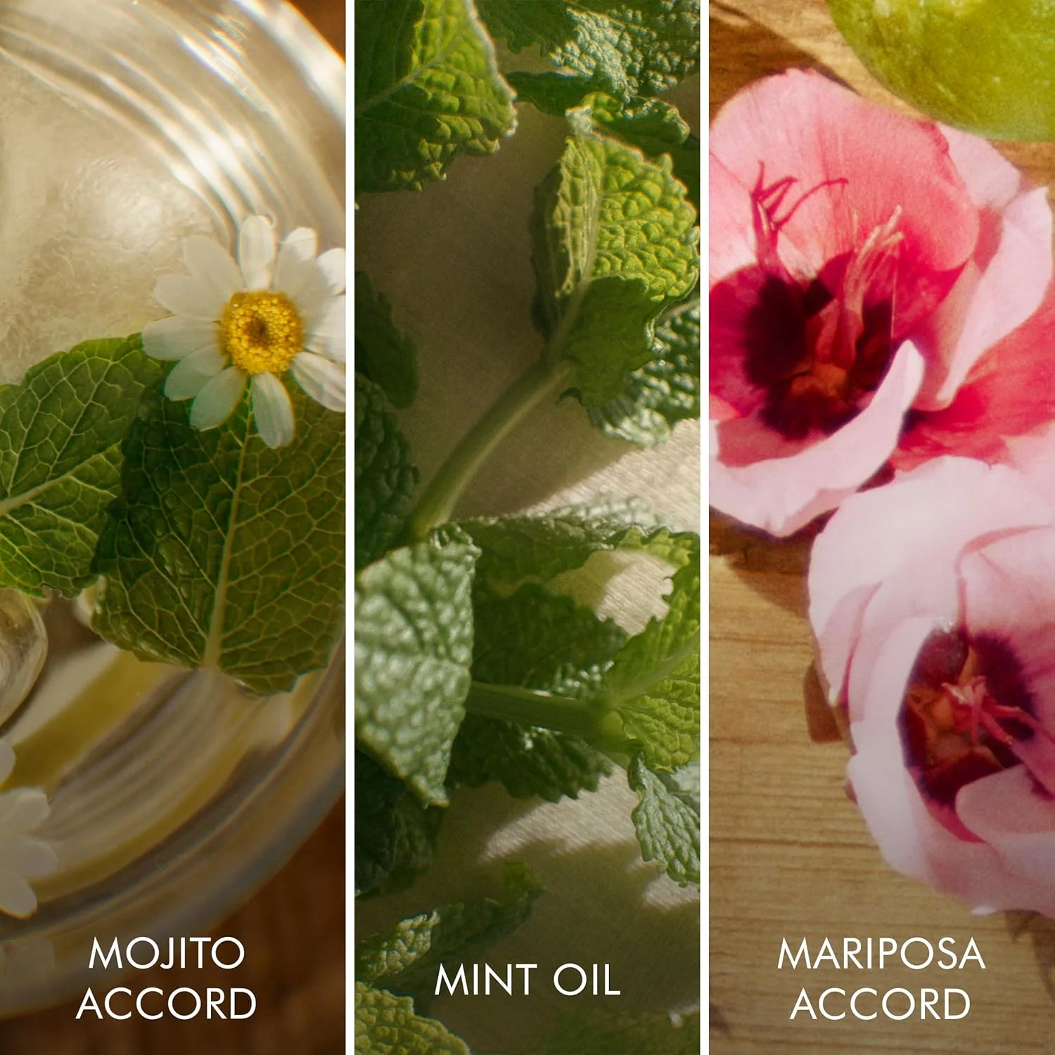 ادکلن زنانه اسکادا بریسا کوبانا نسخه محدود ادو تویلت 100 میلی لیتر