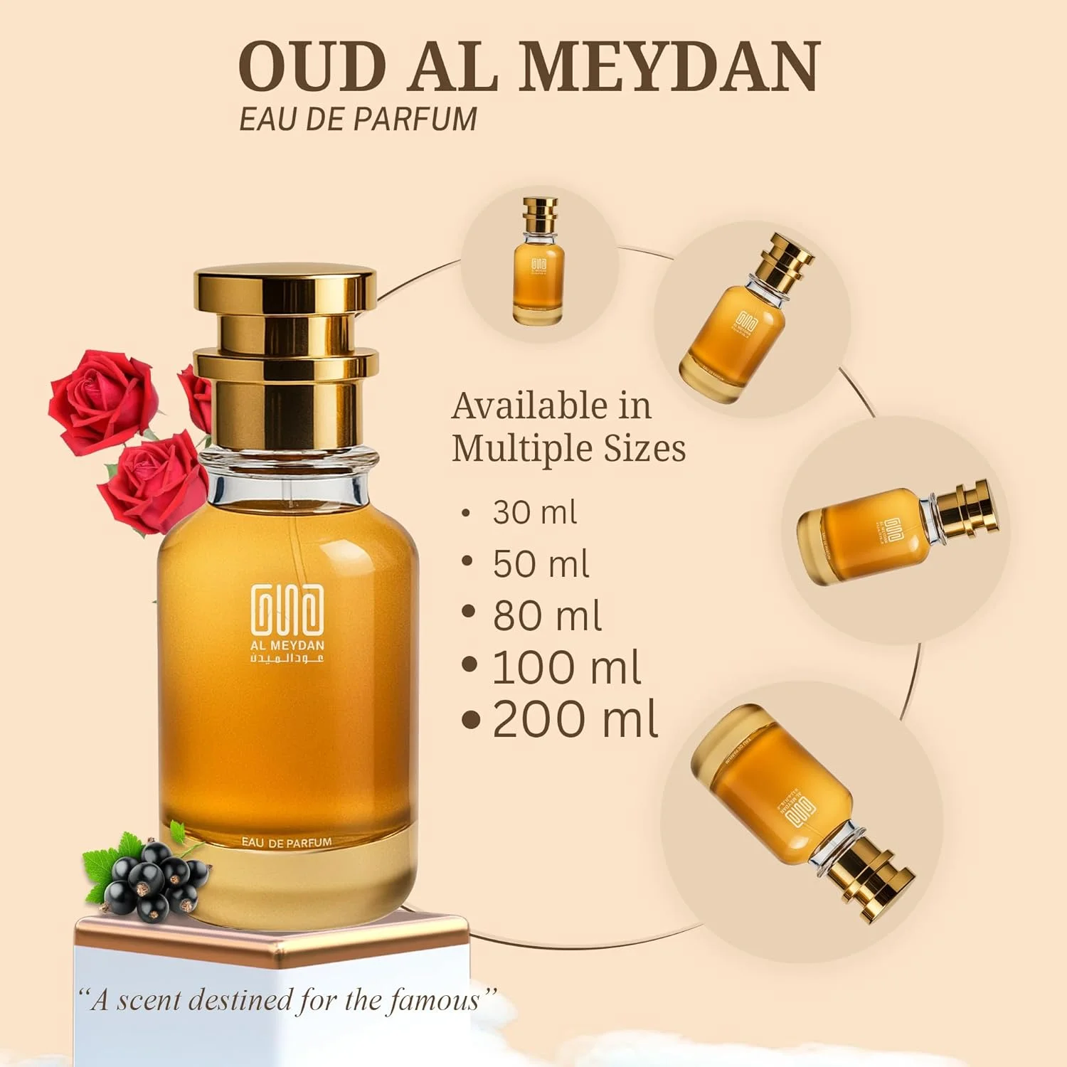 عطر روغنی عود المیدان زنانه - مشابه رایحه دیلون بلود فمه - عطر میوه ای و گلی بدون الکل با رایحه سیب، رز و مشک - ماندگاری طولانی 8-10 ساعت (200 میلی لیتر) عطر روغنی عود المیدان زنانه - مشابه رایحه دیلون بلود فمه - عطر میوه ای و گلی بدون الکل با رایحه سیب، رز و مشک - ماندگاری طولانی 8-10 ساعت (200 میلی لیتر)
