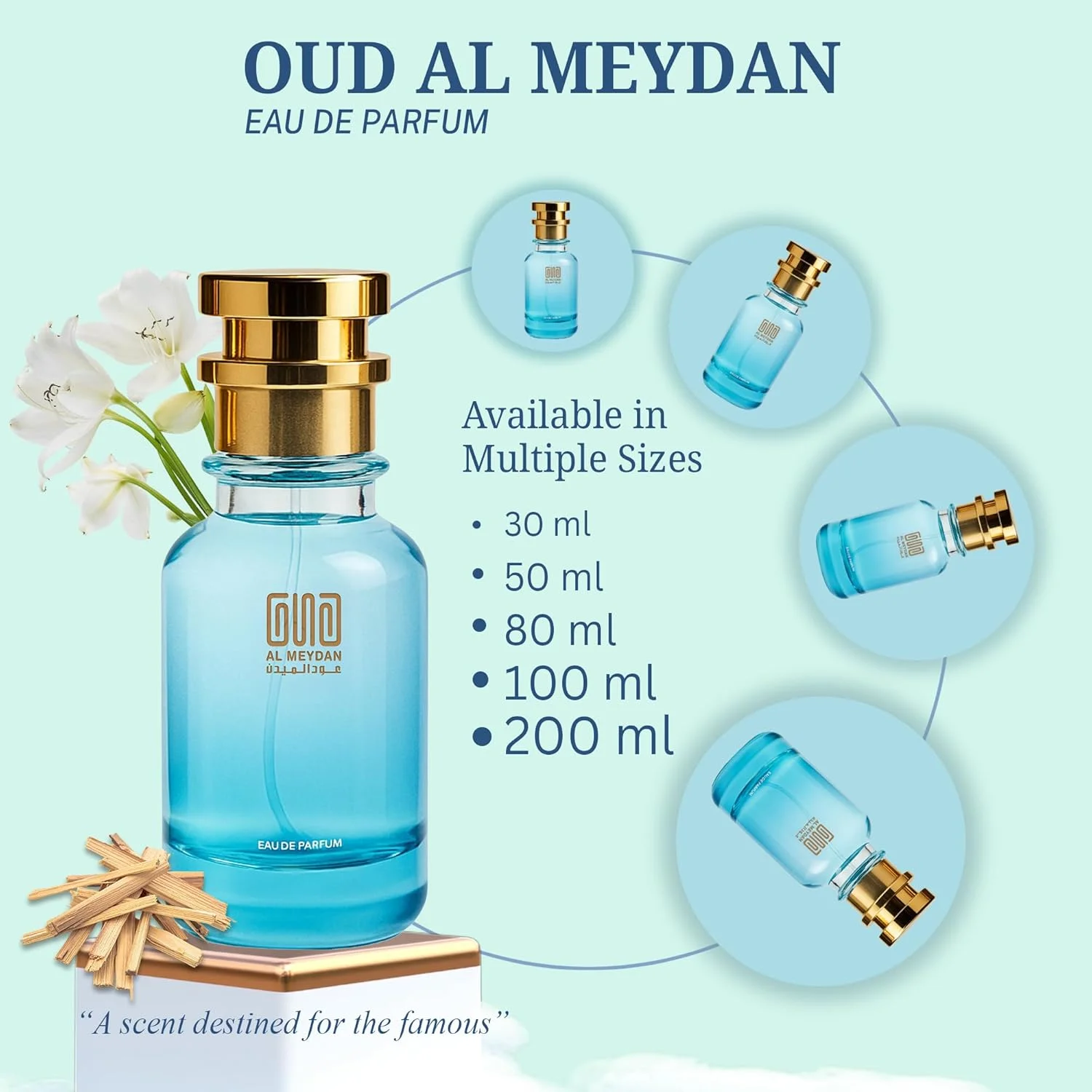 عطر روغنی زنانه عود المیدان – الهام گرفته از آپوجیا – عطر روغنی بدون الکل با رایحه گل برف، یاس و مشک سفید – ماندگاری طولانی، رایحه گلی ظریف (50 میلی لیتر) عطر روغنی زنانه عود المیدان – الهام گرفته از آپوجیا – عطر روغنی بدون الکل با رایحه گل برف، یاس و مشک سفید – ماندگاری طولانی، رایحه گلی ظریف (50 میلی لیتر)
