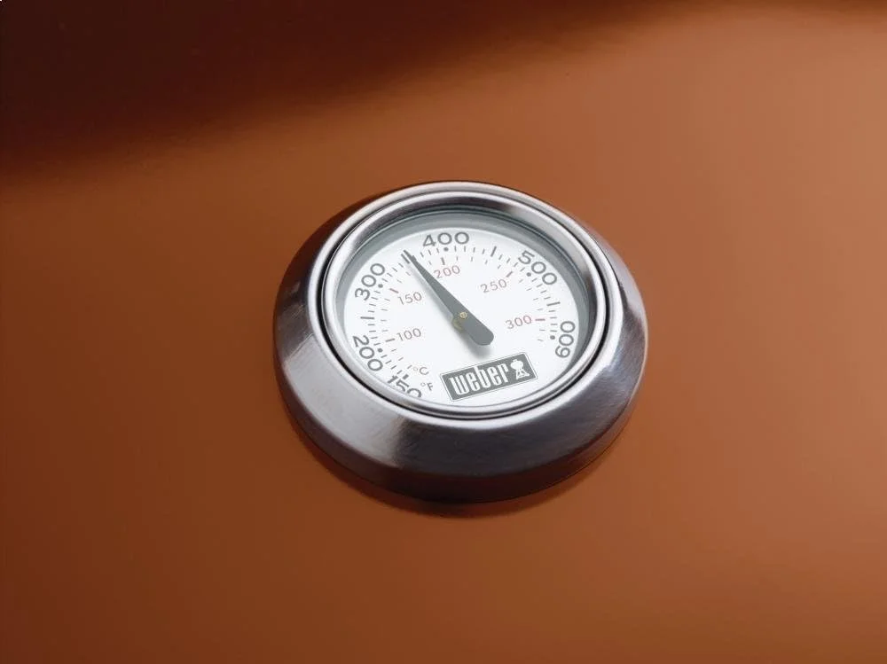 گریل پلت چوبی Weber SmokeFire (نسل دوم) گریل پلت چوبی Weber SmokeFire (نسل دوم)