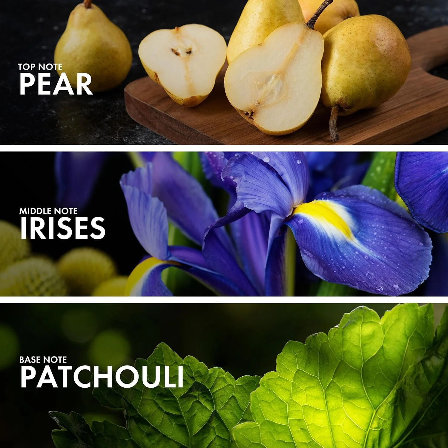 گلابی شیرین گلابی شیرین