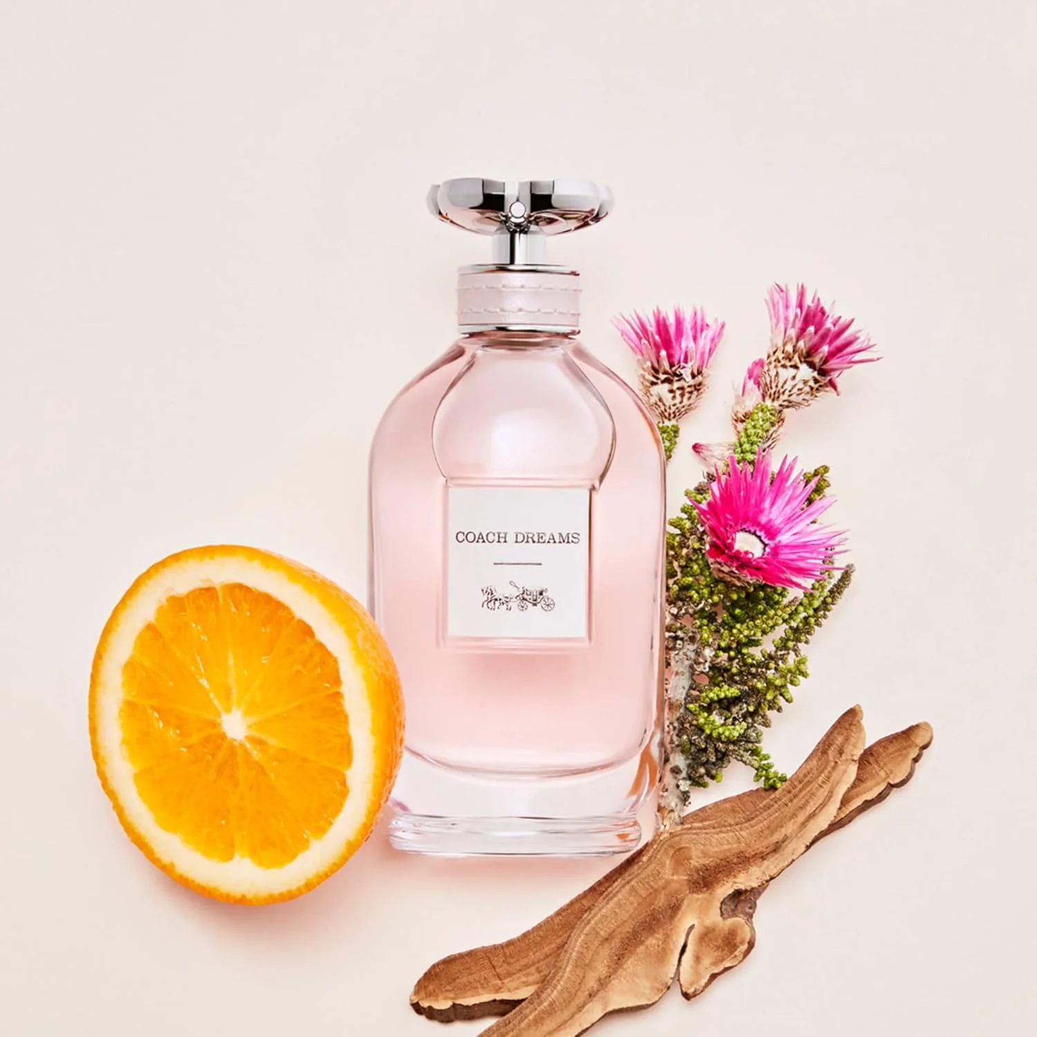 عطر زنانه کوچ دریمز ادو پرفیوم اسپری 40 میلی لیتر عطر زنانه کوچ دریمز ادو پرفیوم اسپری 40 میلی لیتر