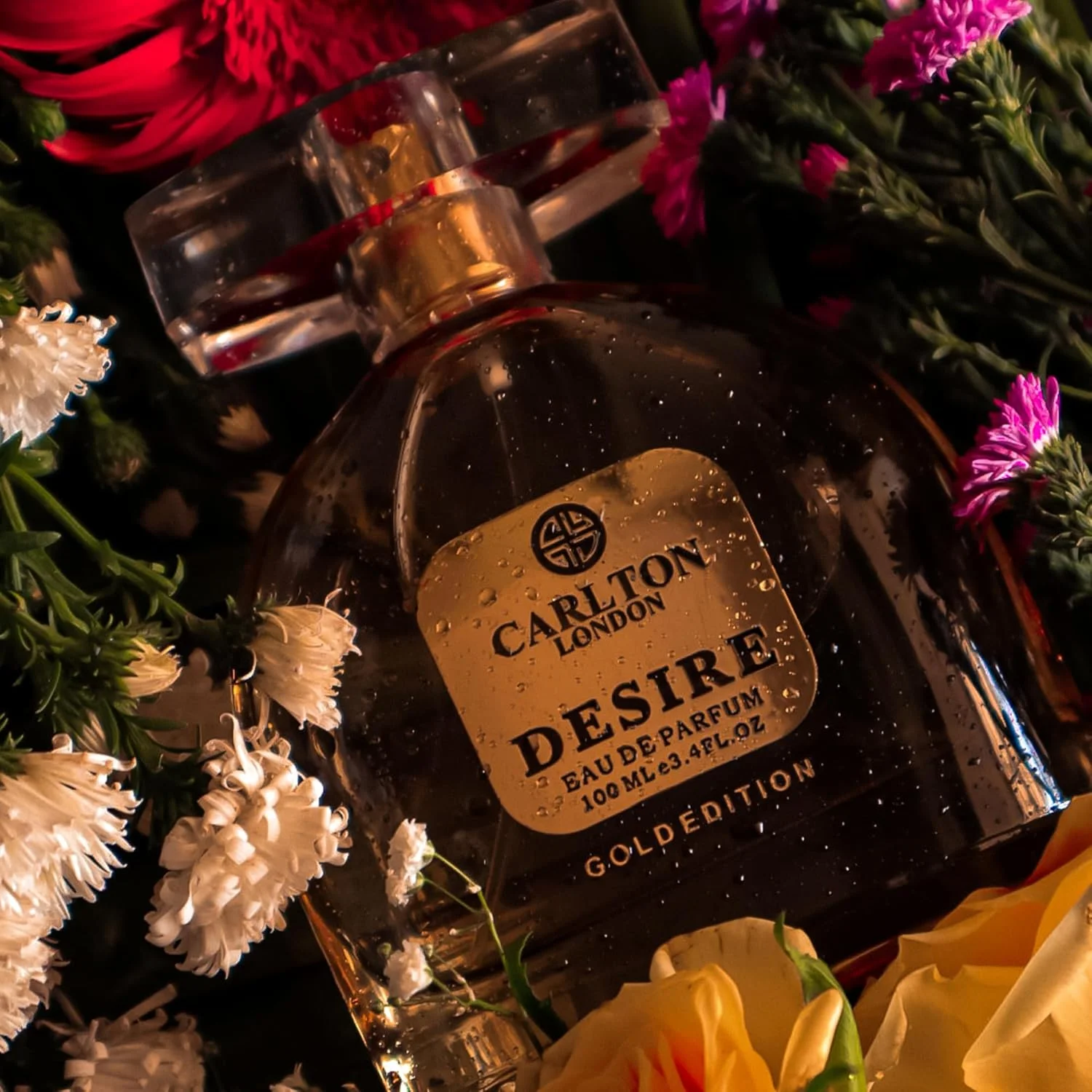 ادکلن زنانه کارلتون لندن نسخه محدود Desire Eau de Parfum | مرکباتی و گلی | عطر لوکس با ماندگاری طولانی | سازگار با پوست | عطر شب قرار (100.00 میلی لیتر (بسته 1 عددی))
