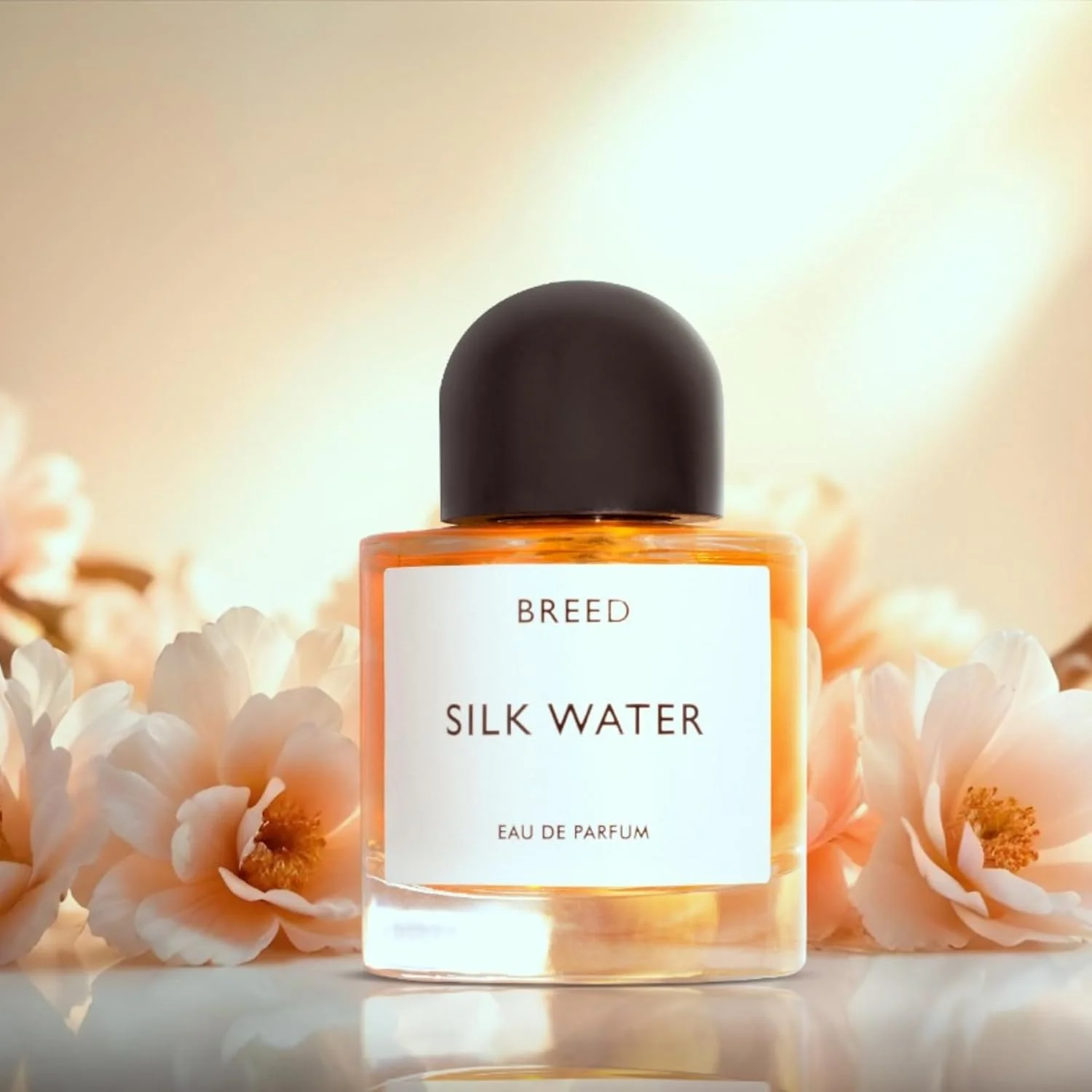 عطر زنانه مجموعه Breed از عطرهای AMD مدل Silk Water - هدیه برای خانم ها - عطرهای زنانه ماندگار با ترکیبی از وانیل و رایحه های گل، ادو پرفیوم EDP 100 میلی لیتر عطر زنانه مجموعه Breed از عطرهای AMD مدل Silk Water - هدیه برای خانم ها - عطرهای زنانه ماندگار با ترکیبی از وانیل و رایحه های گل، ادو پرفیوم EDP 100 میلی لیتر