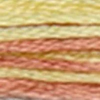 نخ گلدوزی DMC Coloris طرح Frosted Countryside نخ گلدوزی DMC Coloris طرح Frosted Countryside