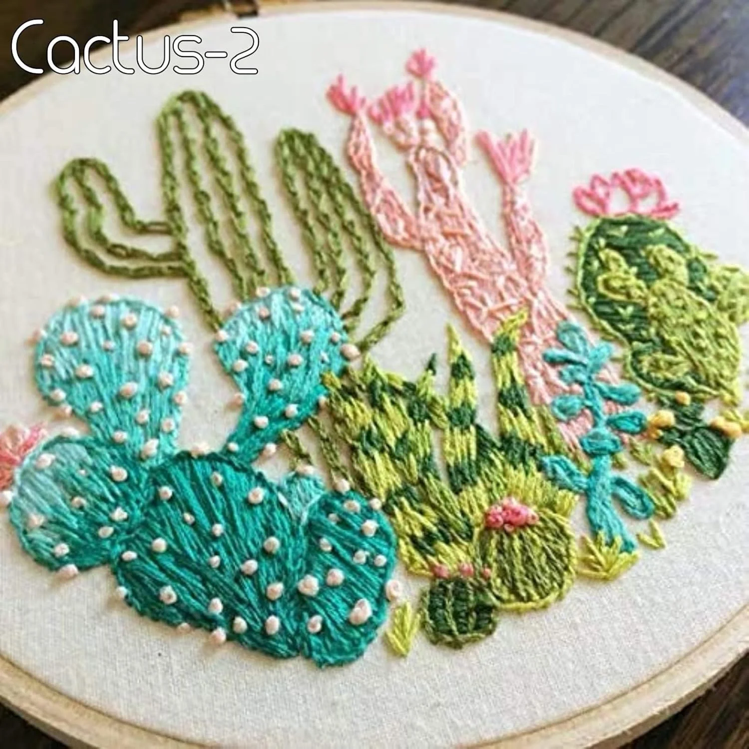 ست های اولیه گلدوزی، بسته 3 عددی ست های اولیه گلدوزی برای بزرگسالان مبتدی با طرح مهر شده، شامل نخ گلدوزی و پارچه مهر شده و سوزن و حلقه بامبو، سری گیاهان کاکتوس