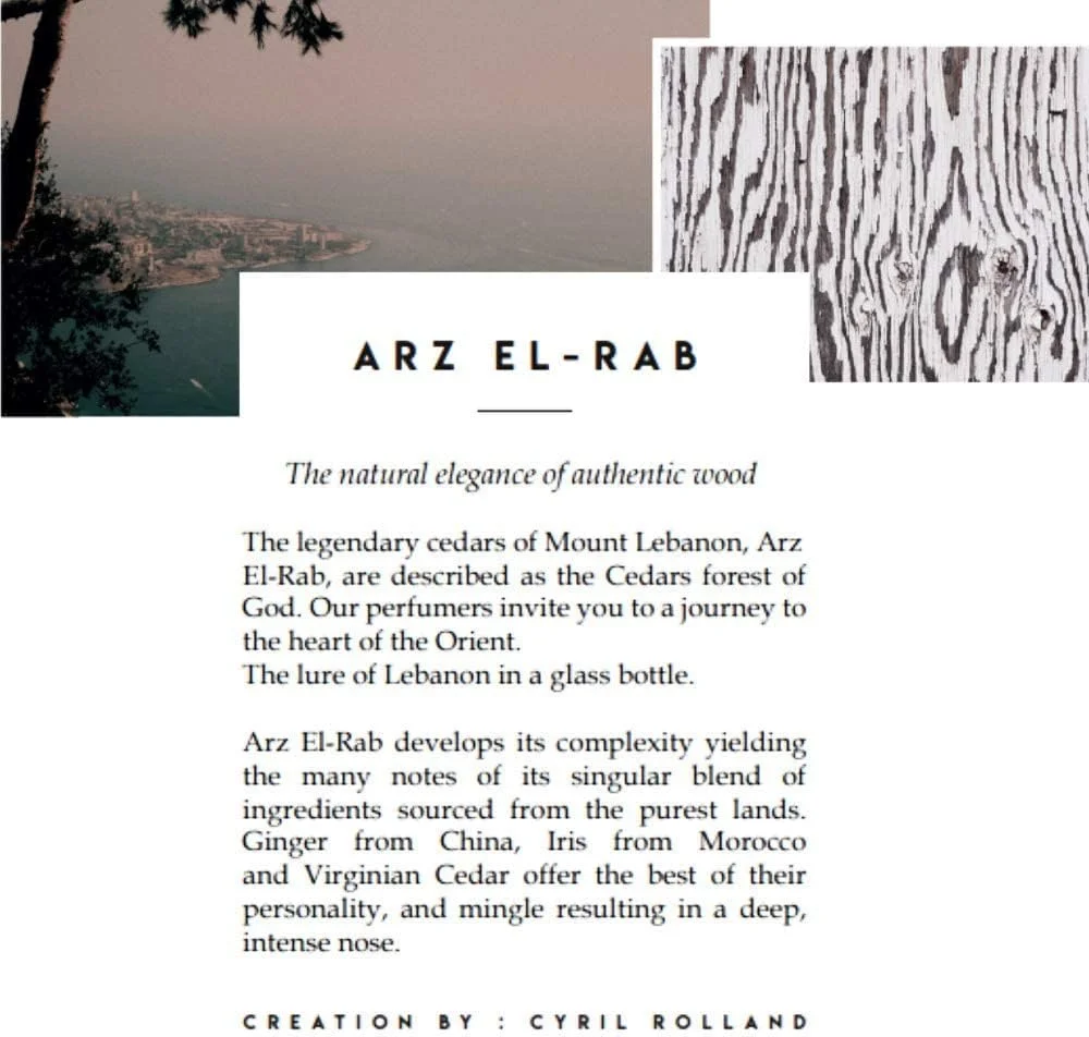 عطر بردوس Arz El-Rab [۱۰۰ میلی لیتر] – ادو پرفیوم مردانه و زنانه با رایحه چوب سدر، زنجبیل، زنبق آبی، عطر یونیسکس، رایحه های برجسته | زیبایی و مراقبت شخصی