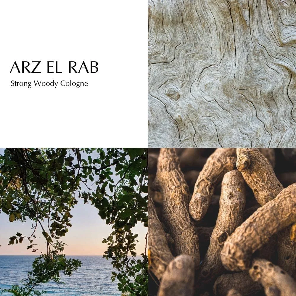 عطر بردوس Arz El-Rab [۱۰۰ میلی لیتر] – ادو پرفیوم مردانه و زنانه با رایحه چوب سدر، زنجبیل، زنبق آبی، عطر یونیسکس، رایحه های برجسته | زیبایی و مراقبت شخصی