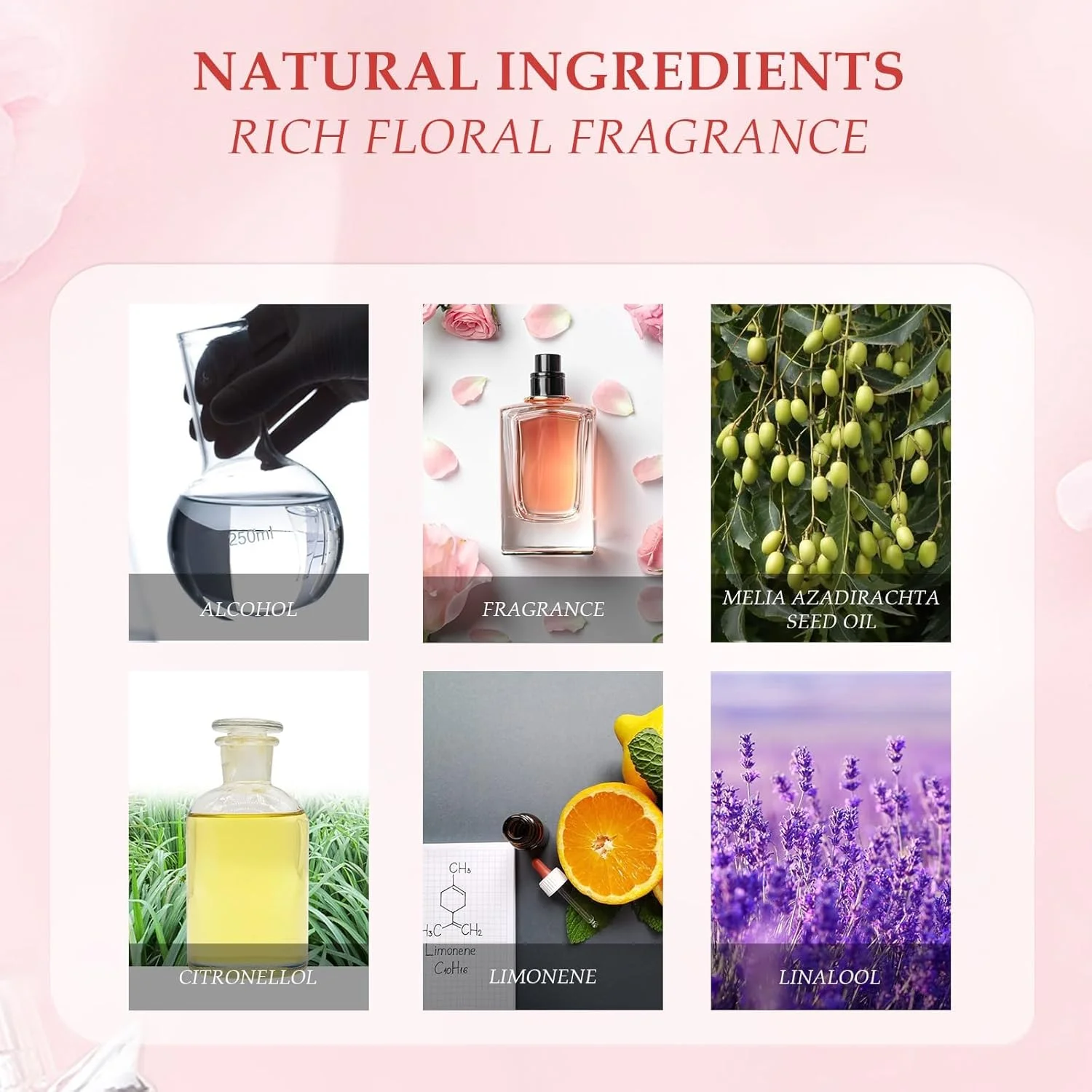 عطر فرمون زنانه Azonee، 3 عددی، عطر فرمونی جذب کننده مردان، رایحه ماندگار، افزایش اعتماد به نفس و تقویت خود عطر فرمون زنانه Azonee، 3 عددی، عطر فرمونی جذب کننده مردان، رایحه ماندگار، افزایش اعتماد به نفس و تقویت خود