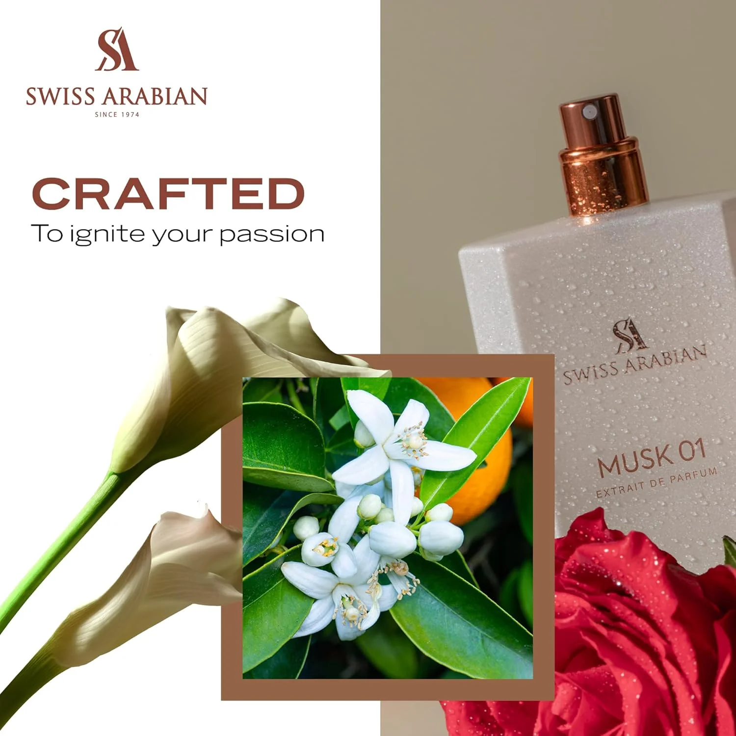 عطر سوییس عربین مشک 01 اکستریت د پرفیوم، 50 میلی لیتر، عطر با کیفیت عالی، رایحه унисекс، گلی، مشک، عطر ترکیبی لوکس برای زنان و مردان