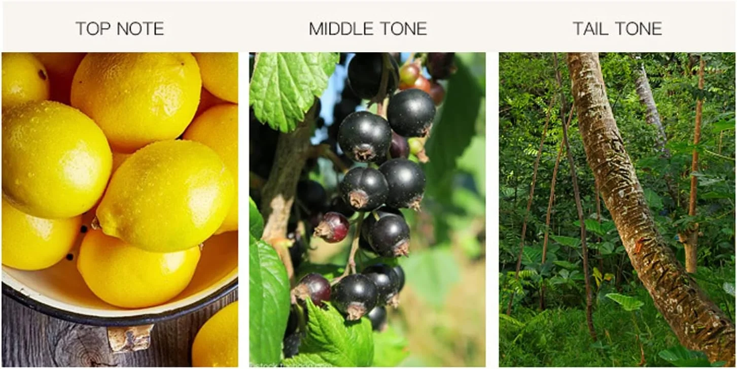 عطر جامد 15 گرمی 3 عددی - عطر جامد خنثی قابل حمل و با طراوت، ایمن و قابل اعتماد، با رایحه طبیعی جذاب و ماندگار، عطر جیبی قابل حمل برای مسافرت مردان و زنان عطر جامد 15 گرمی 3 عددی - عطر جامد خنثی قابل حمل و با طراوت، ایمن و قابل اعتماد، با رایحه طبیعی جذاب و ماندگار، عطر جیبی قابل حمل برای مسافرت مردان و زنان