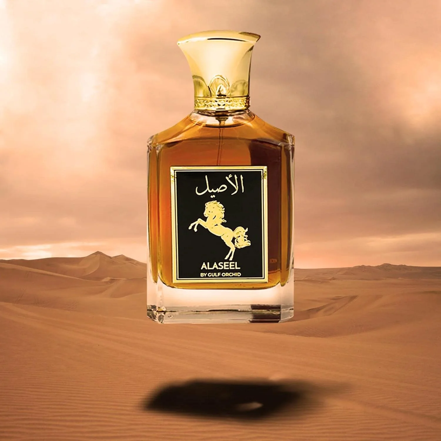 عطر مردانه ماندگار گلف ارکید الاصیل - ادو پرفیوم EDP - 100 میلی لیتر از گلف ارکید
