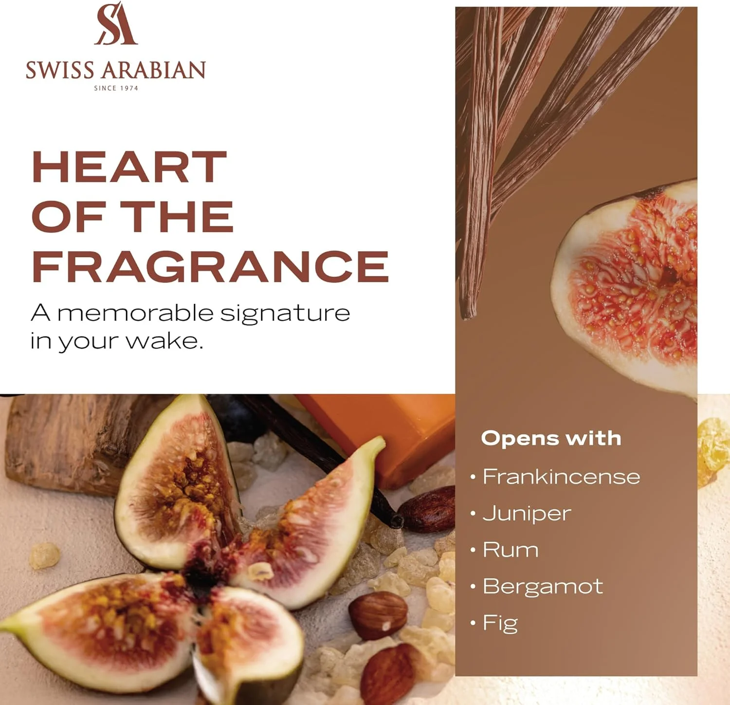 عطر سوییس عربین اینسنس 01 اکستریت د پرفیوم، 50 میلی لیتر، عطر با کیفیت عالی، رایحه униsex، عود تازه، عطر ترکیبی لوکس برای زنان و مردان عطر سوییس عربین اینسنس 01 اکستریت د پرفیوم، 50 میلی لیتر، عطر با کیفیت عالی، رایحه униsex، عود تازه، عطر ترکیبی لوکس برای زنان و مردان
