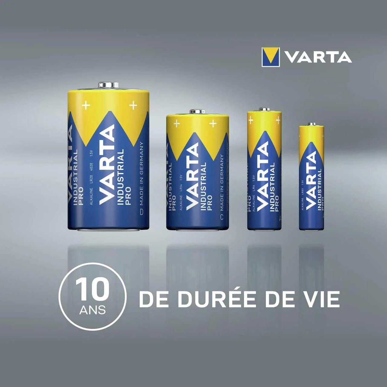 باتری مونو VARTA D، بسته 20 عددی، Industrial Pro، باتری آلکالاین، 1.5 ولت، بسته ذخیره سازی، ساخت آلمان باتری مونو VARTA D، بسته 20 عددی، Industrial Pro، باتری آلکالاین، 1.5 ولت، بسته ذخیره سازی، ساخت آلمان