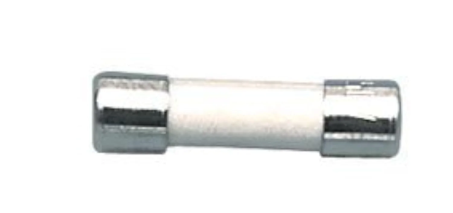 الکترواسمارت بسته 2 عددی فیوز سرامیکی 10 آمپر T10AH 250 ولت 20mm x 5mm - تاخیری/زمان دار/آهسته سوز