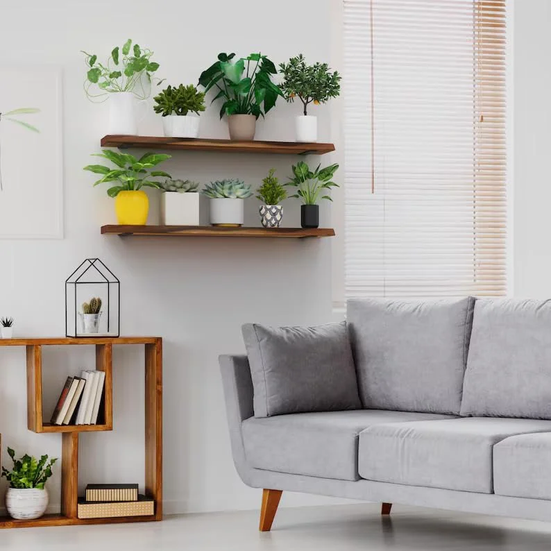 شلف شناور لبه زنده Horoof Home® - شلف دیواری چوبی جامد برای دکوراسیون منزل و دفتر، شلف چوبی روستایی دست ساز (137.1 x 20.3 x 3.8 سانتی متر، قهوه ای)، SM315 شلف شناور لبه زنده Horoof Home® - شلف دیواری چوبی جامد برای دکوراسیون منزل و دفتر، شلف چوبی روستایی دست ساز (137.1 x 20.3 x 3.8 سانتی متر، قهوه ای)، SM315