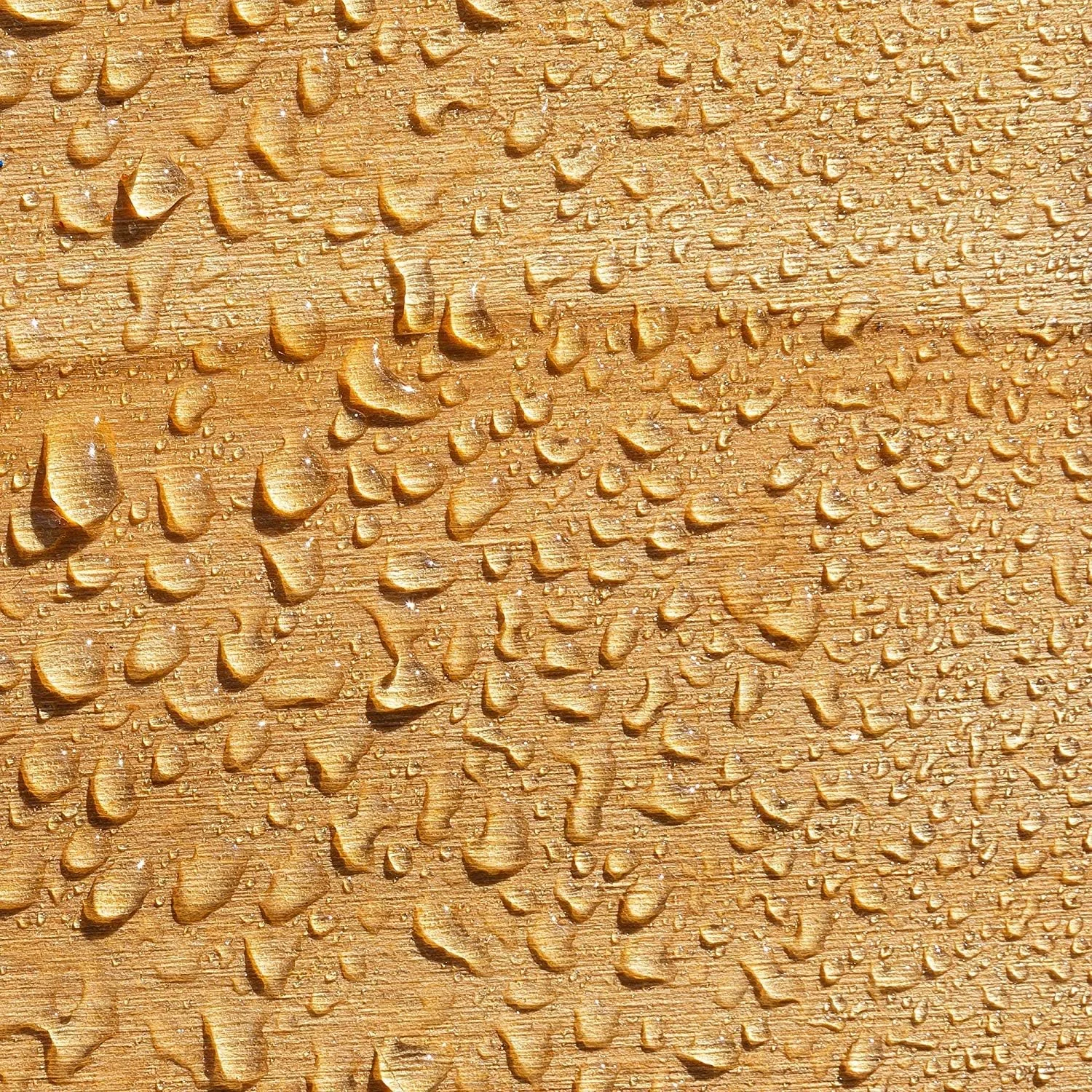 کرم ضد آب چوب Roxil (1 کوارت) محافظ شفاف 10 ساله در فضای باز - درمان و درزگیر برای محافظت ضد آب از عرشه، حصار، سوله، مبلمان کرم ضد آب چوب Roxil (1 کوارت) محافظ شفاف 10 ساله در فضای باز - درمان و درزگیر برای محافظت ضد آب از عرشه، حصار، سوله، مبلمان