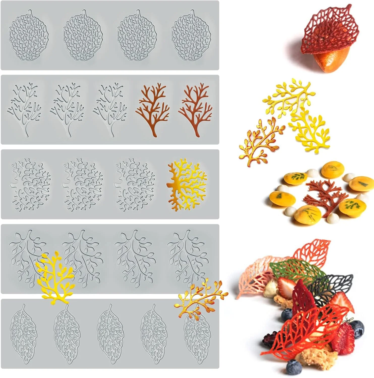 قالب سیلیکونی 5 تکه سان زاو گنگ برای پخت و پز و فوندانت - طرح های سه بعدی شاخه مرجانی، برگ توری، ایده آل برای کیک، خمیر پلیمری، رزین، شکر و تزئین دسر