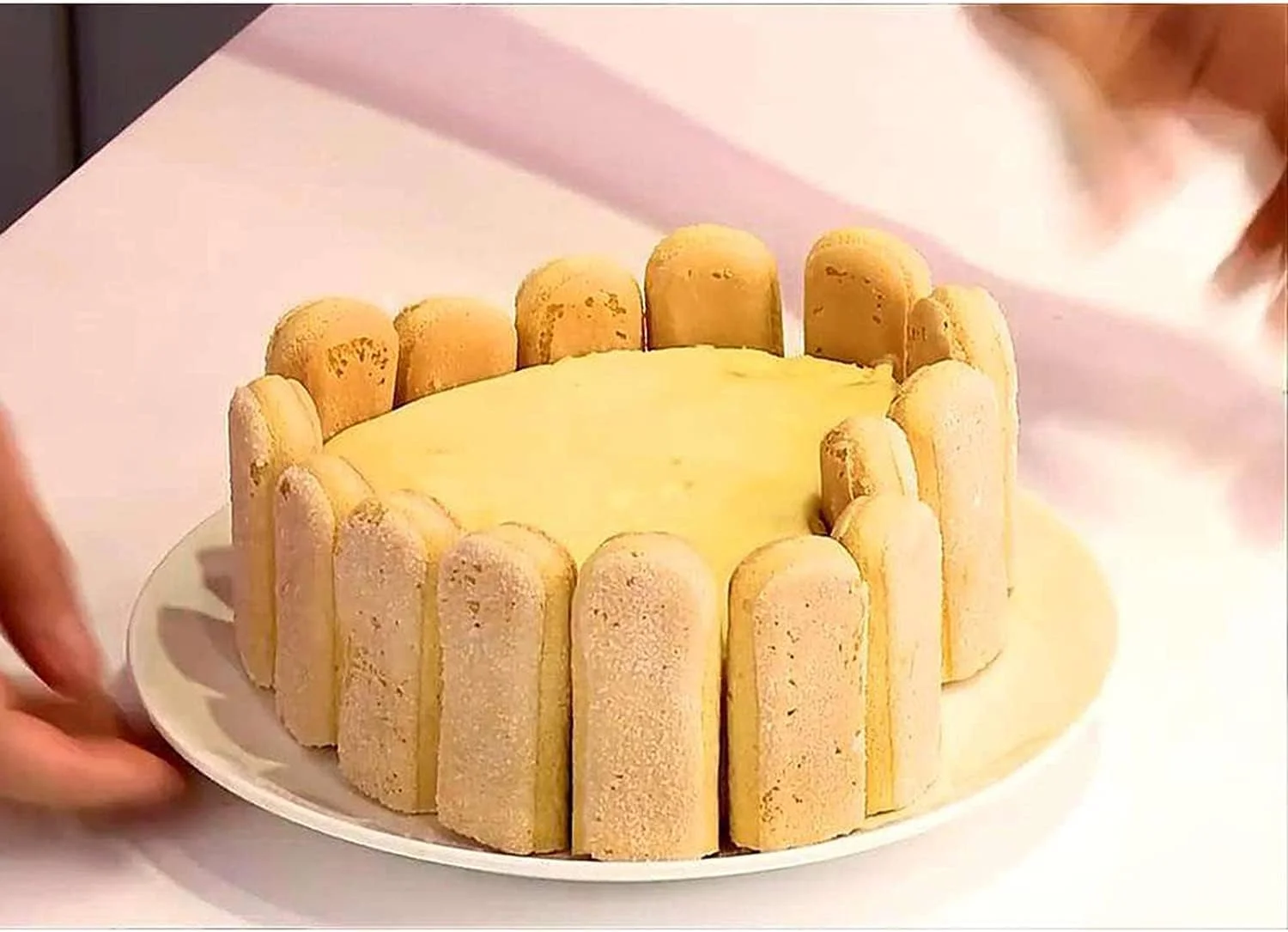 قالب سیلیکونی انگشتی شکل، 2 عدد قالب 10 حفره ای نوار بلند، قالب سیلیکونی بیسکویت انگشتی، قالب شکلات غلات، سینی پخت، قالب یخ