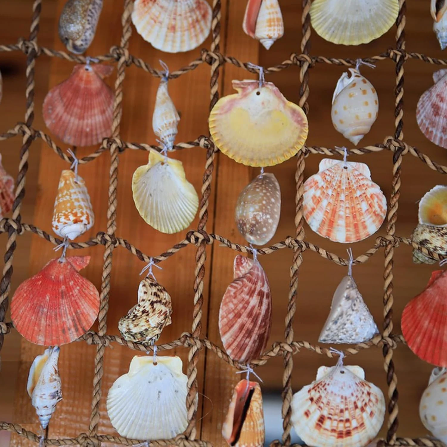 قالب سیلیکونی 6 حفره ای طرح صدف ChicAbode، قالب های پخت صدف دریایی، قالب های فوندانت کیک شکلاتی با تم دریایی، پروژه های ساخت رزین اقیانوسی سه بعدی، برای تزئین کاپ کیک های شیرینی آب نبات قالب سیلیکونی 6 حفره ای طرح صدف ChicAbode، قالب های پخت صدف دریایی، قالب های فوندانت کیک شکلاتی با تم دریایی، پروژه های ساخت رزین اقیانوسی سه بعدی، برای تزئین کاپ کیک های شیرینی آب نبات