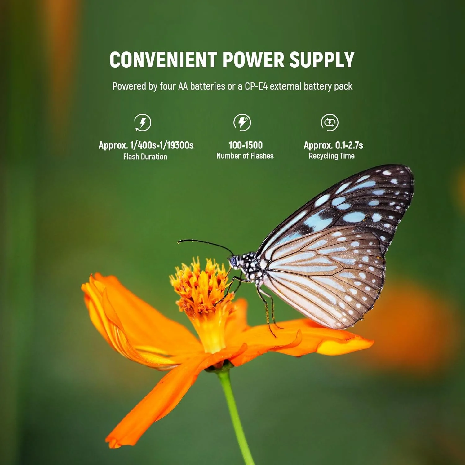 فلاش حلقه ای ماکرو Neewer RF1-N سازگار با دوربین نیکون، 76Ws GN15 5600K TTL Lighting 1-1/128 Output Front/Rear Curtain Sync Color Gels، حلقه های آداپتور لنز برای عکاسی ماکرو استودیویی فلاش حلقه ای ماکرو Neewer RF1-N سازگار با دوربین نیکون، 76Ws GN15 5600K TTL Lighting 1-1/128 Output Front/Rear Curtain Sync Color Gels، حلقه های آداپتور لنز برای عکاسی ماکرو استودیویی