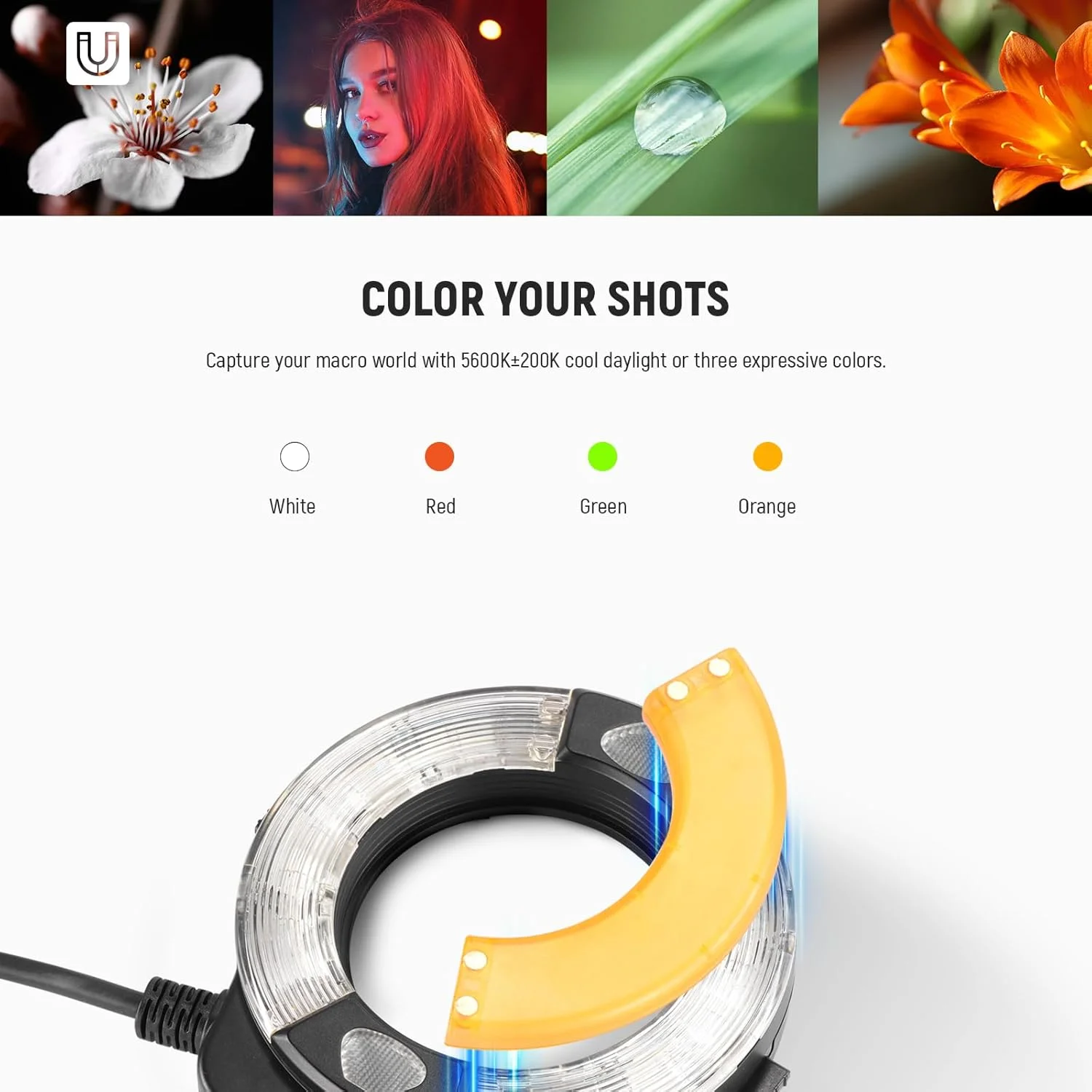 فلاش حلقه ای ماکرو Neewer RF1-N سازگار با دوربین نیکون، 76Ws GN15 5600K TTL Lighting 1-1/128 Output Front/Rear Curtain Sync Color Gels، حلقه های آداپتور لنز برای عکاسی ماکرو استودیویی فلاش حلقه ای ماکرو Neewer RF1-N سازگار با دوربین نیکون، 76Ws GN15 5600K TTL Lighting 1-1/128 Output Front/Rear Curtain Sync Color Gels، حلقه های آداپتور لنز برای عکاسی ماکرو استودیویی