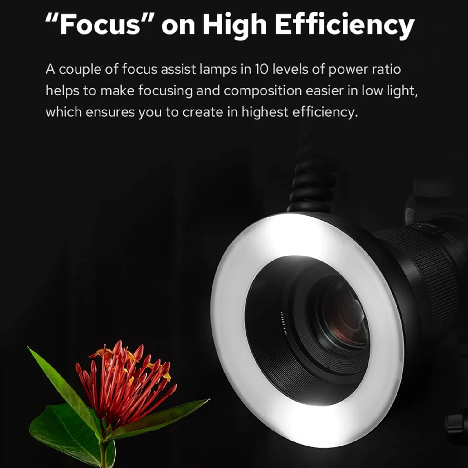 فلاش حلقوی ماکرو LED گودکس MF-R76، سرعت لایت 76Ws، 660 فلاش با قدرت کامل، لوله های فلاش دوتایی، تنظیم قدرت 1/128 تا 1/1، 10 سطح نسبت قدرت برای کانن نیکون سونی فوجی الیمپوس پاناسونیک (بدون TTL) فلاش حلقوی ماکرو LED گودکس MF-R76، سرعت لایت 76Ws، 660 فلاش با قدرت کامل، لوله های فلاش دوتایی، تنظیم قدرت 1/128 تا 1/1، 10 سطح نسبت قدرت برای کانن نیکون سونی فوجی الیمپوس پاناسونیک (بدون TTL)