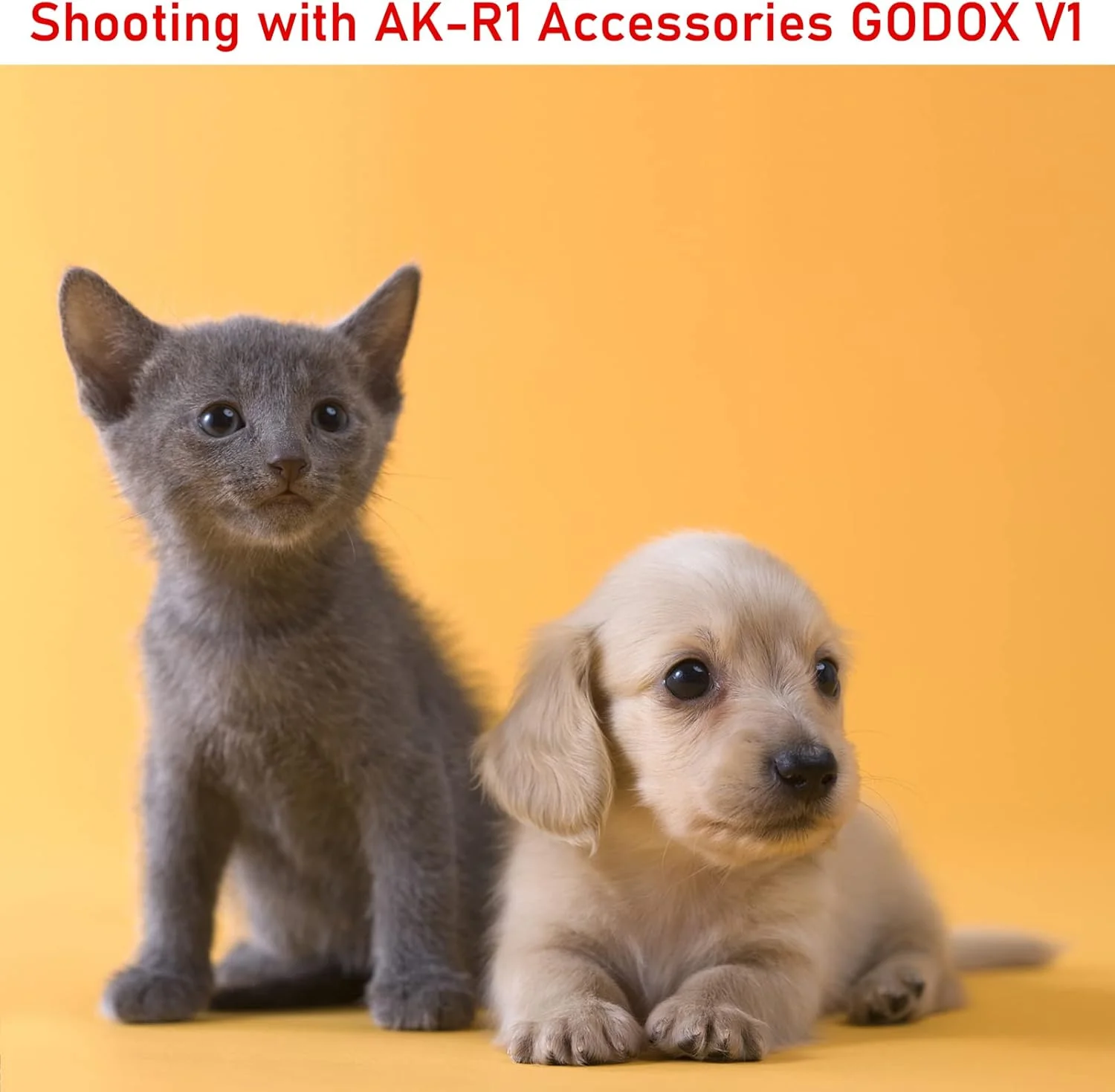 کیت لوازم جانبی Godox AK-R1 برای فلاش حلقوی H200R و فلاش های گرد V1/V1 Pro/V100/AD100/AD100Pro/AD200/AD200Pro کیت لوازم جانبی Godox AK-R1 برای فلاش حلقوی H200R و فلاش های گرد V1/V1 Pro/V100/AD100/AD100Pro/AD200/AD200Pro