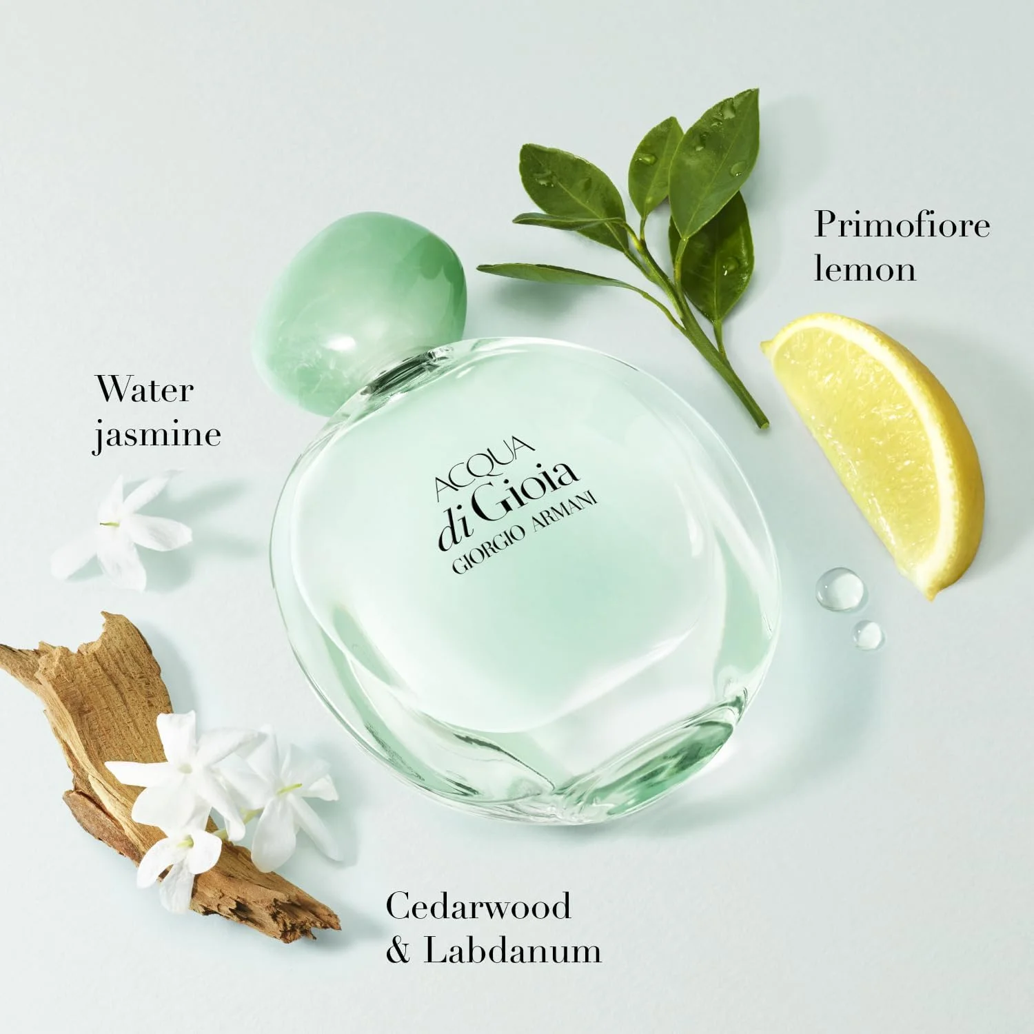 آرمانی بیوتی – Acqua di Gioia – ادو پرفیوم – رایحه گلی میوه ای برای زنان – لیمو پریموفیوره، یاس آبی، نت های چوب سدر - 0.3 Fl Oz آرمانی بیوتی – Acqua di Gioia – ادو پرفیوم – رایحه گلی میوه ای برای زنان – لیمو پریموفیوره، یاس آبی، نت های چوب سدر - 0.3 Fl Oz